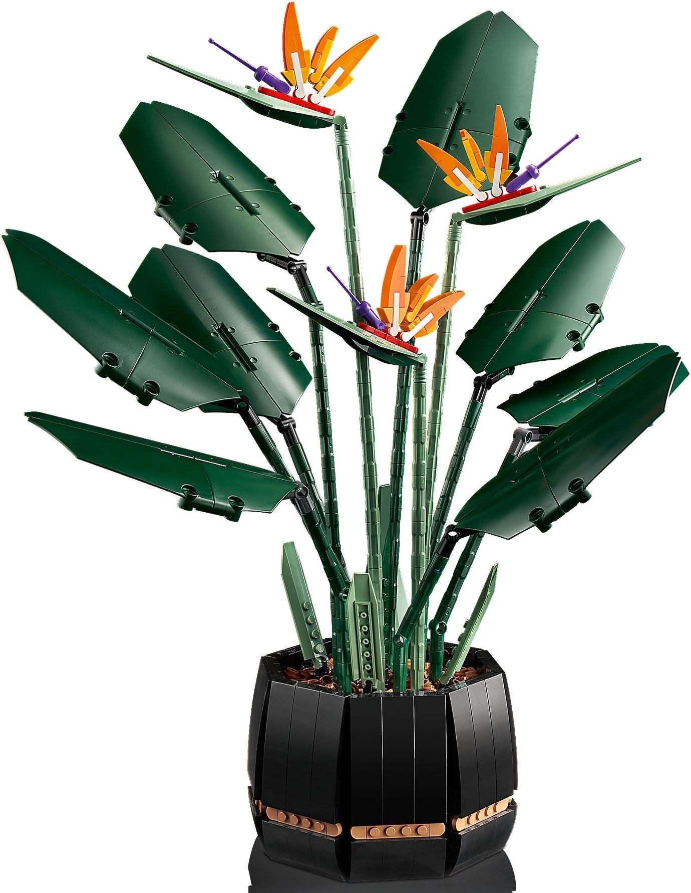 Bird of Paradise 10289 | Icons | LEGO – image 8