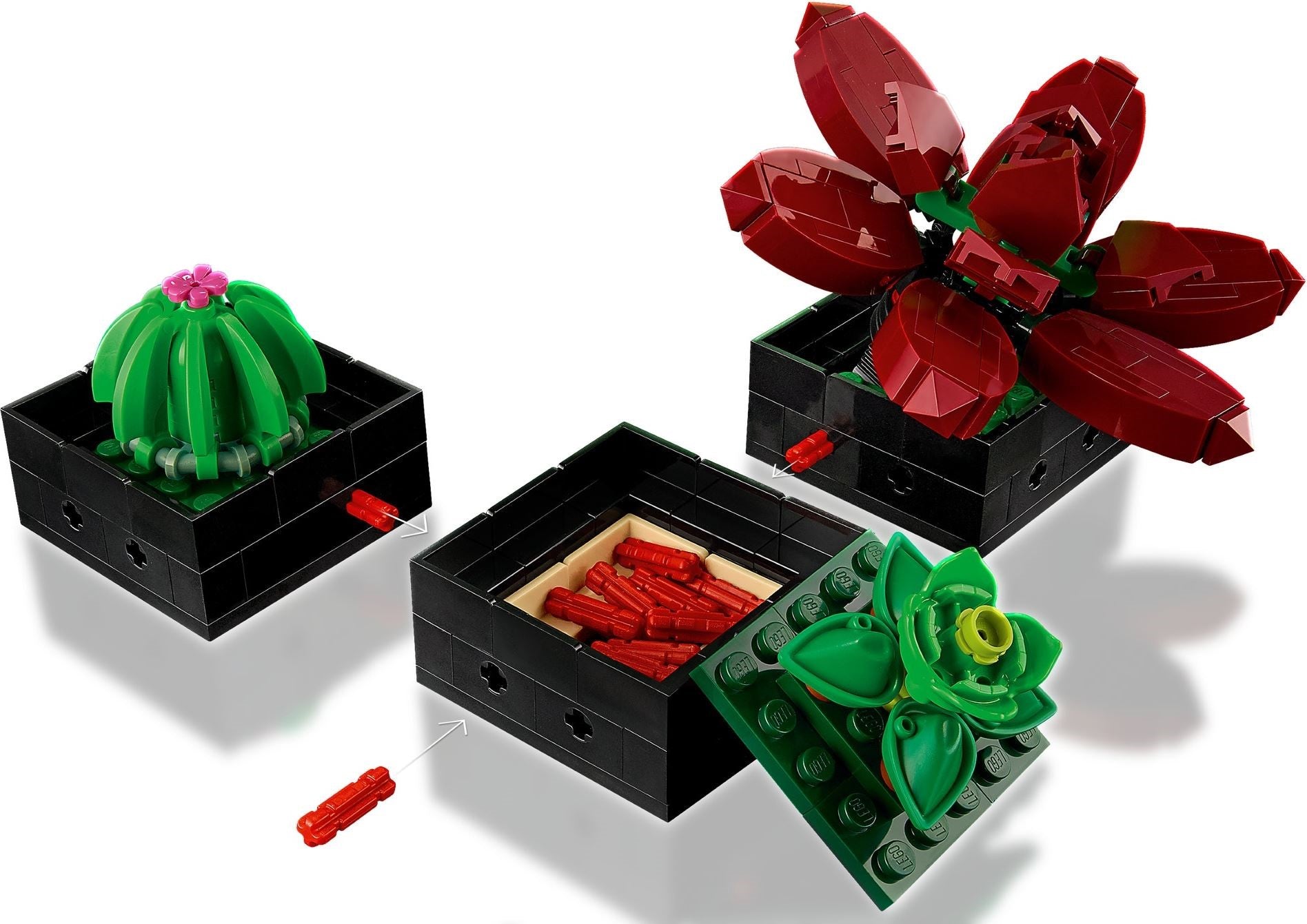 Succulents 10309 | Icons | LEGO – image 6