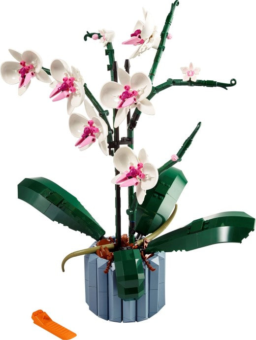 縁 Orchid 10311 | Icons | LEGO