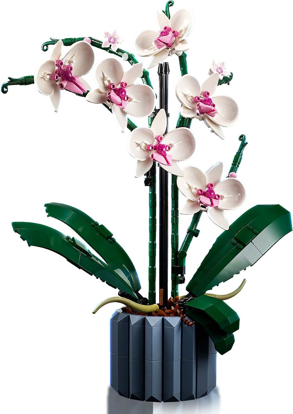 Orchid 10311 | Icons | LEGO – image 3