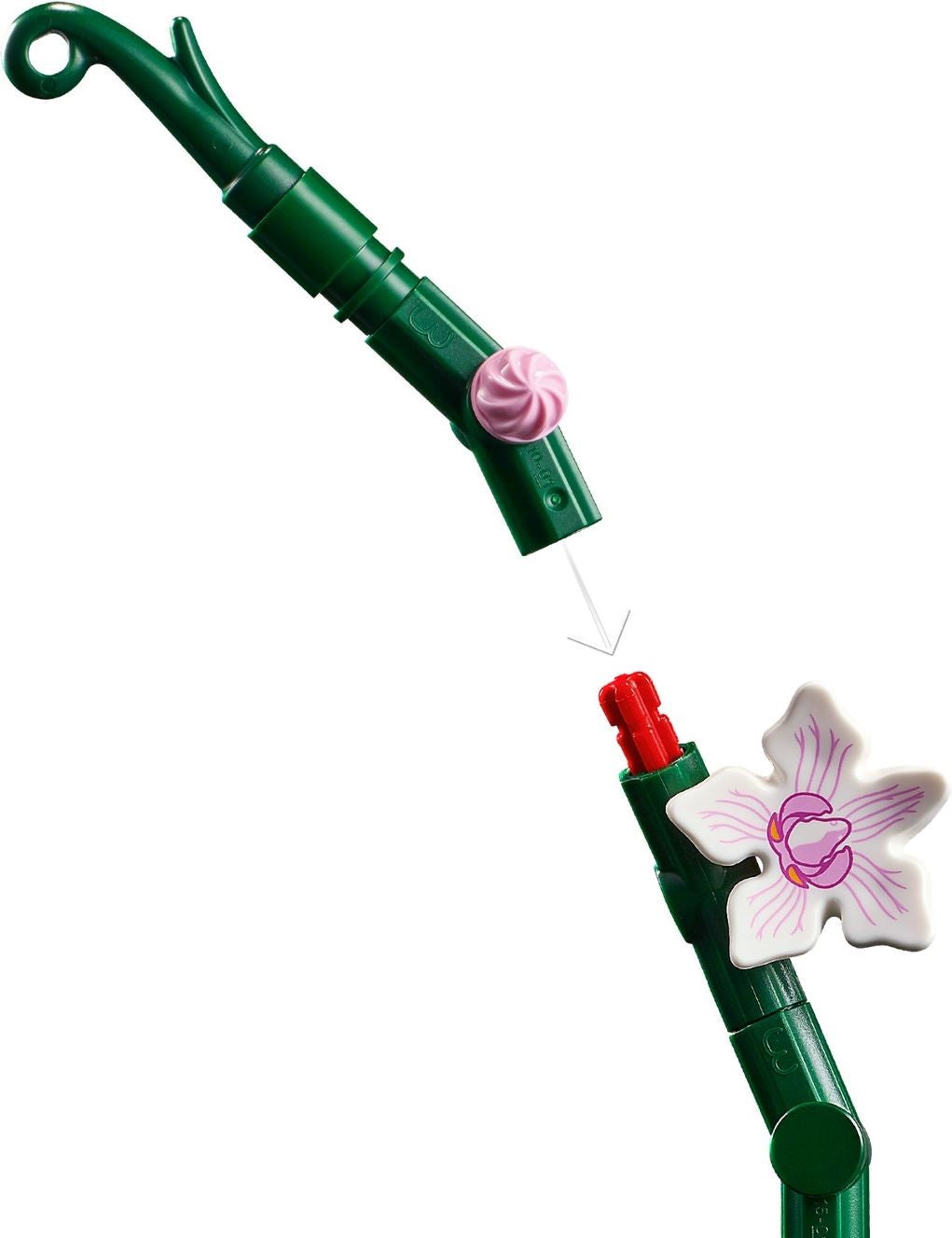 Orchid 10311 | Icons | LEGO – image 5