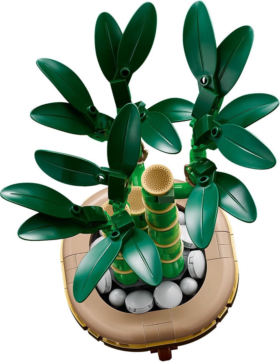 Lucky Bamboo 10344 | Botanicals | LEGO