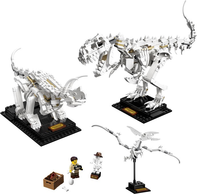 Dinosaur Fossils 21320 | Ideas | LEGO