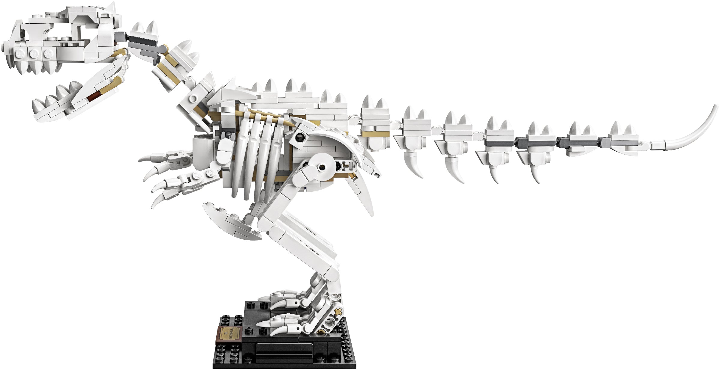 Dinosaur Fossils 21320 | Ideas | LEGO – image 9
