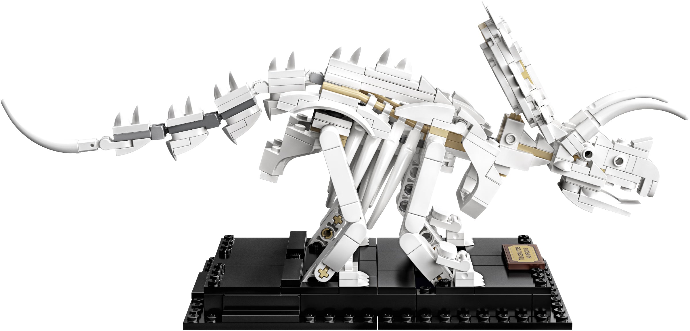 Dinosaur Fossils 21320 | Ideas | LEGO – image 11
