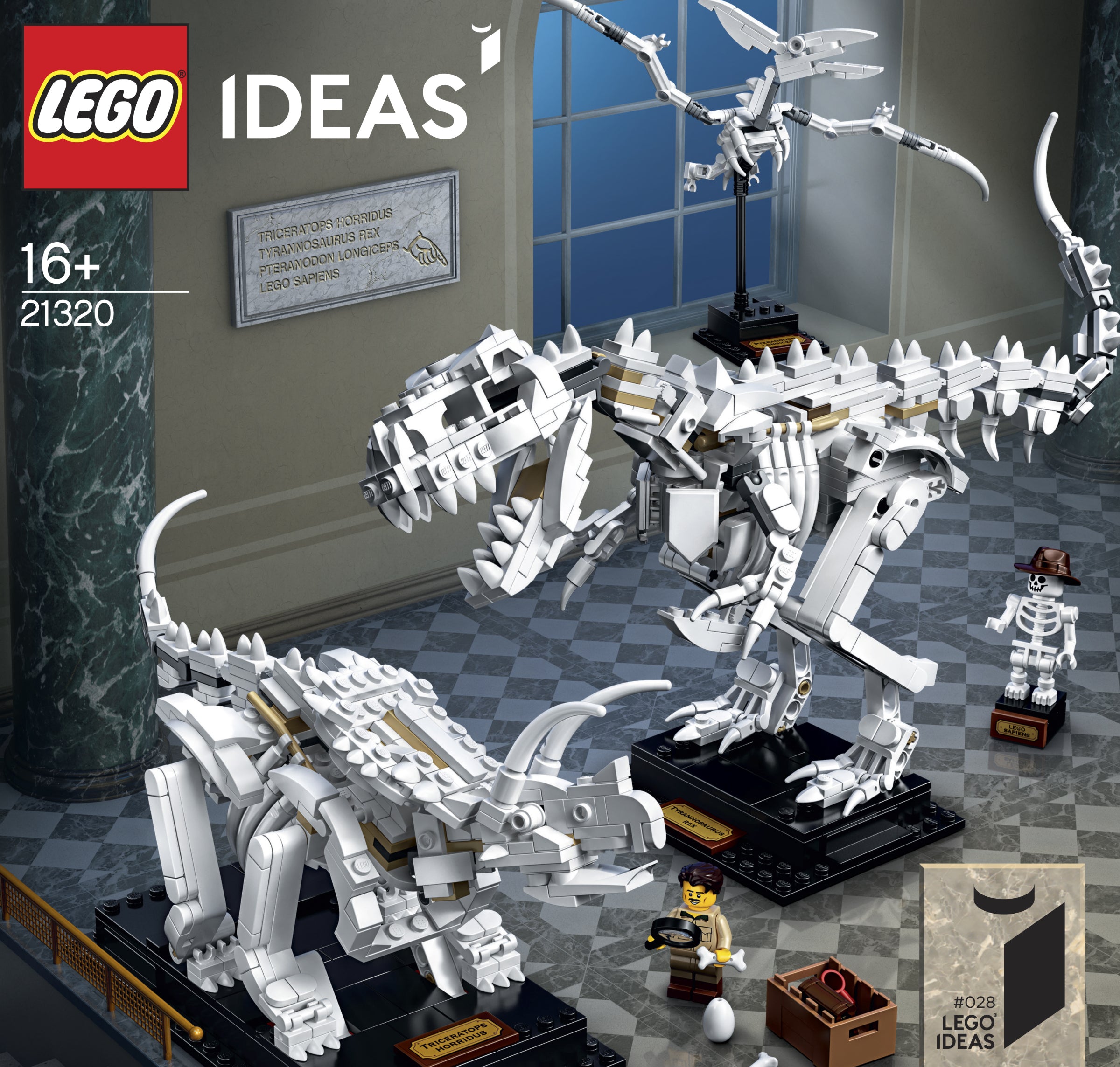 Dinosaur Fossils 21320 | Ideas | LEGO – image 12