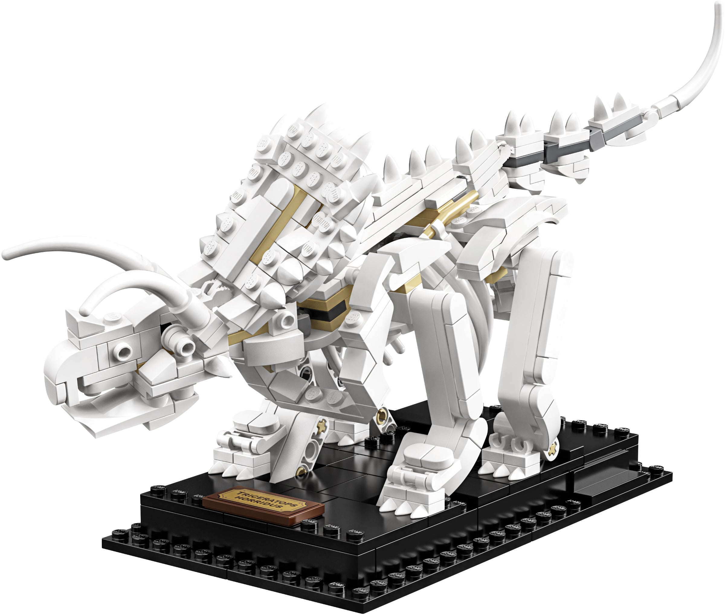 Dinosaur Fossils 21320 | Ideas | LEGO – image 21