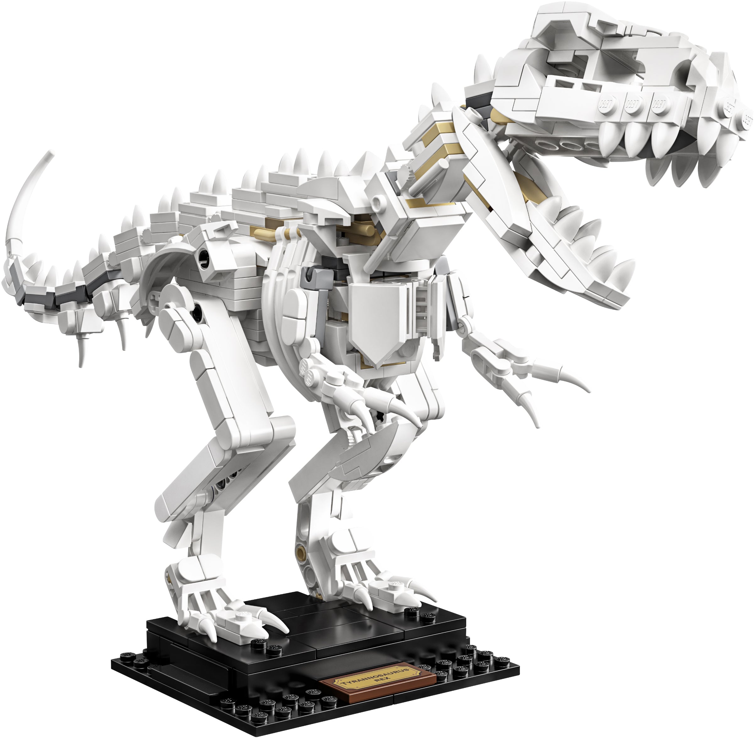 Dinosaur Fossils 21320 | Ideas | LEGO – image 22