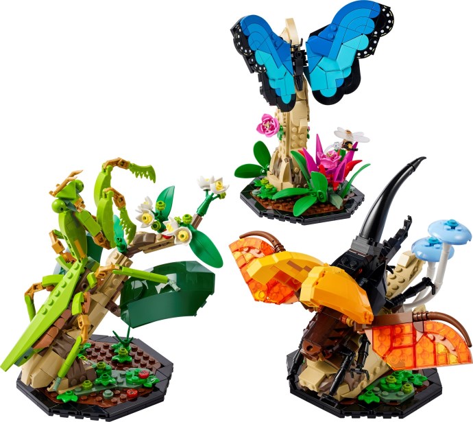 The Insect Collection 21342 | Ideas | LEGO