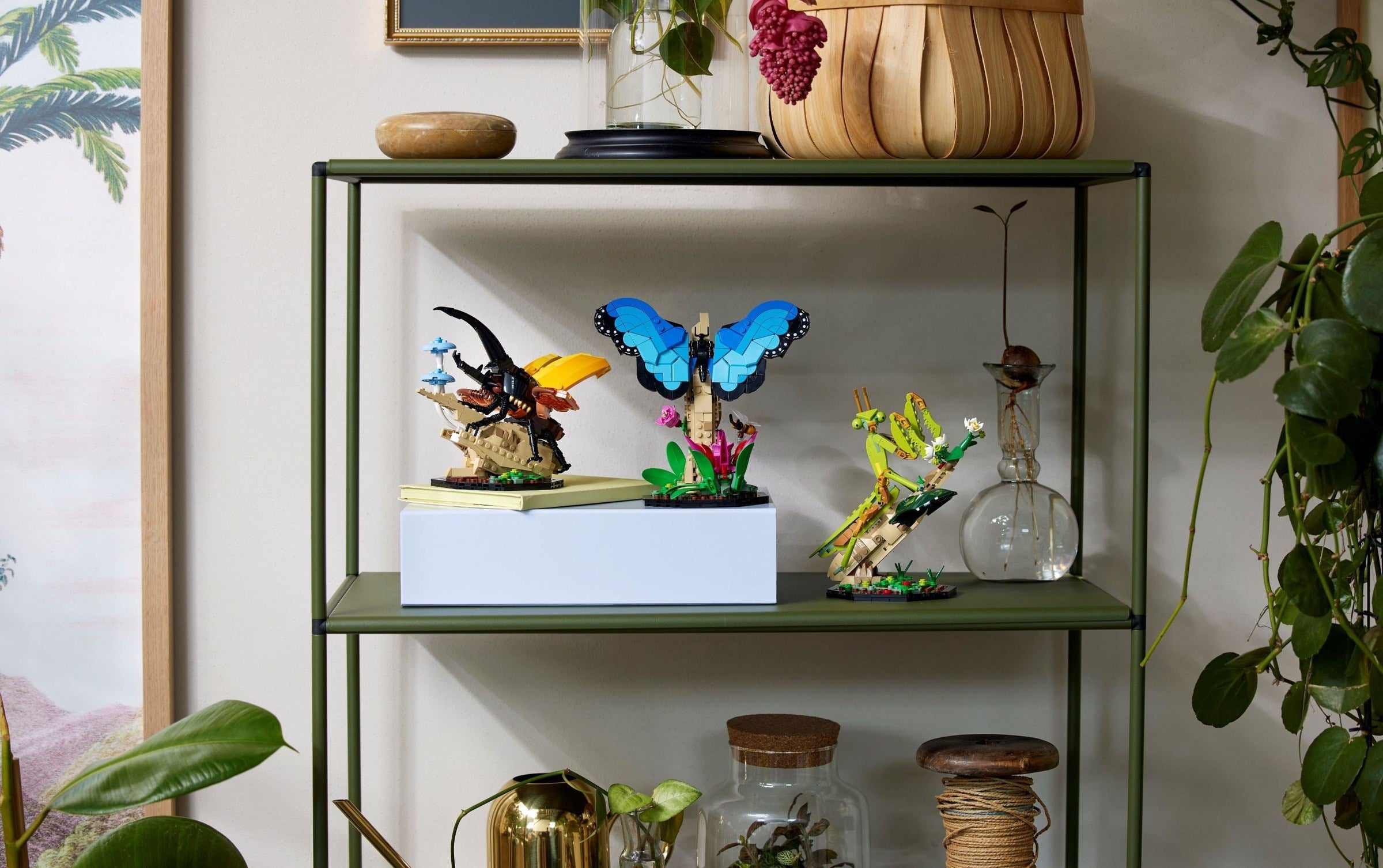 The Insect Collection 21342 | Ideas | LEGO – image 9