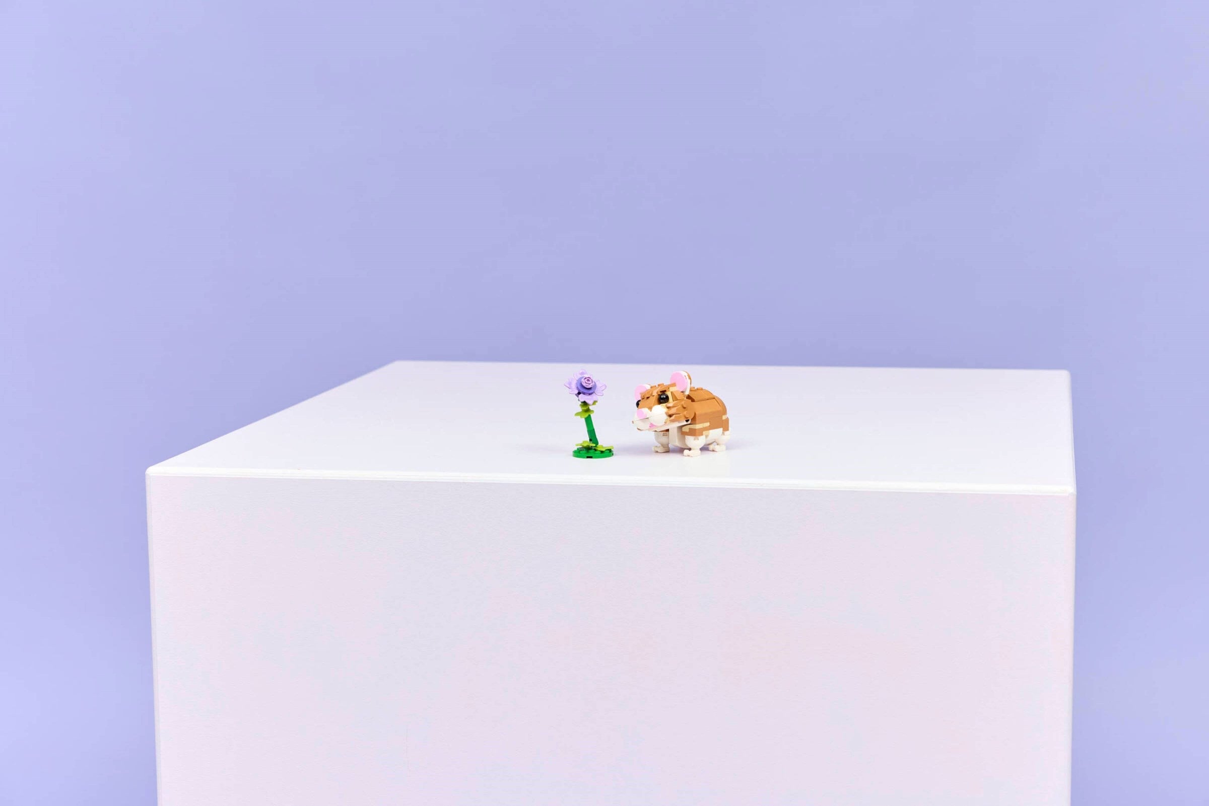 Cute Hamster with a Flower 31376 | Creator | LEGO – image 7