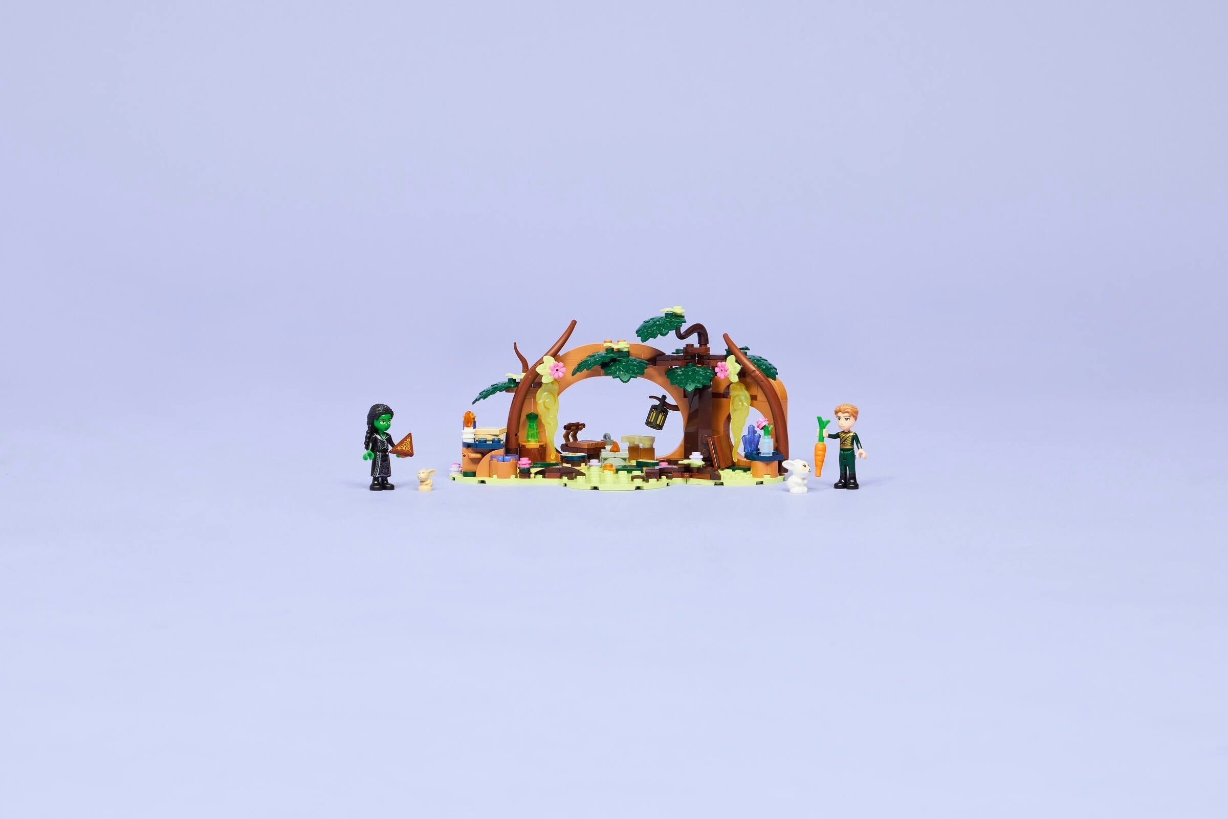 Elphaba's Retreat 75687 | Wicked | LEGO – image 7