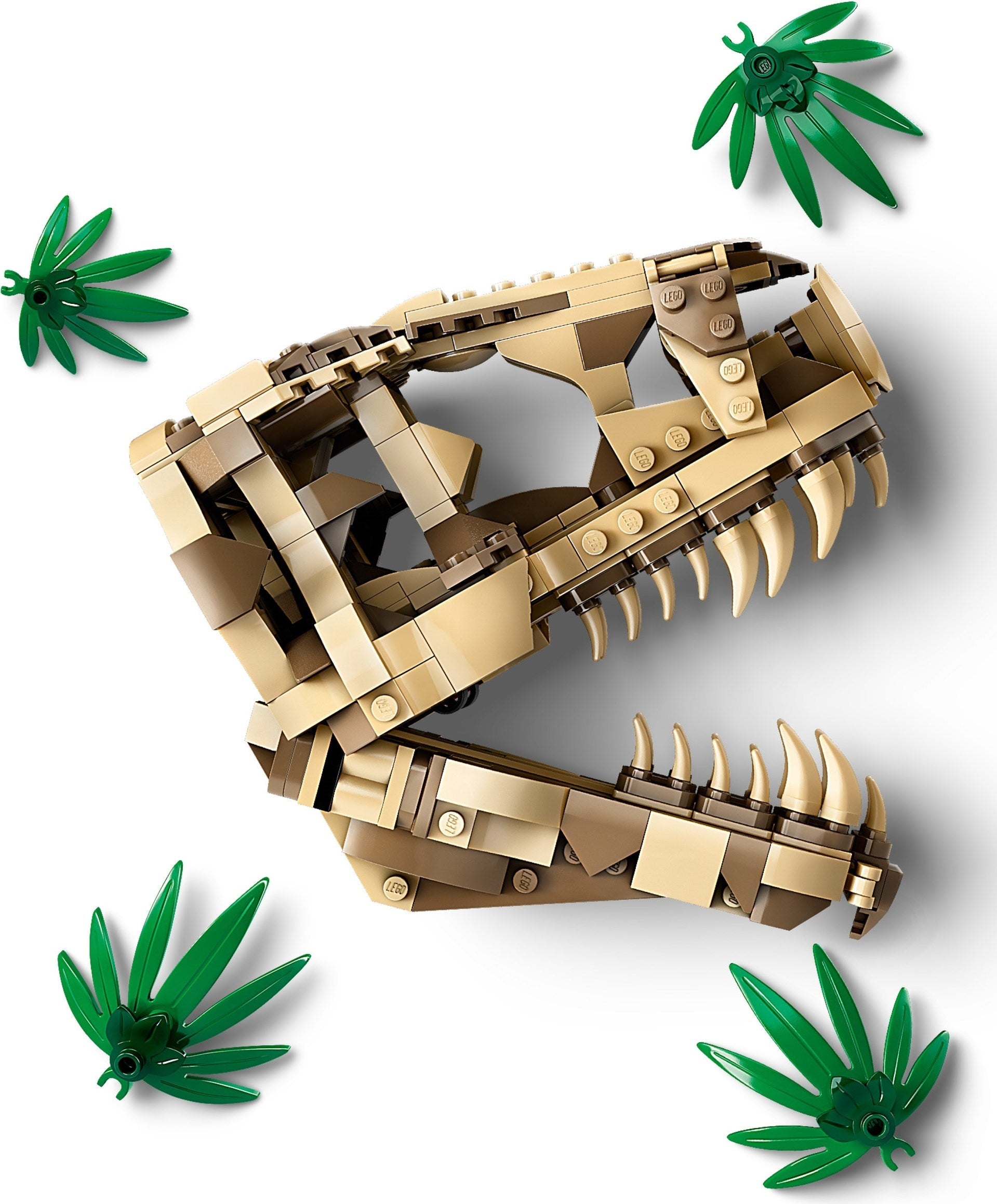 Dinosaur Fossils: T. rex Skull 76964 | Jurassic World | LEGO – image 3