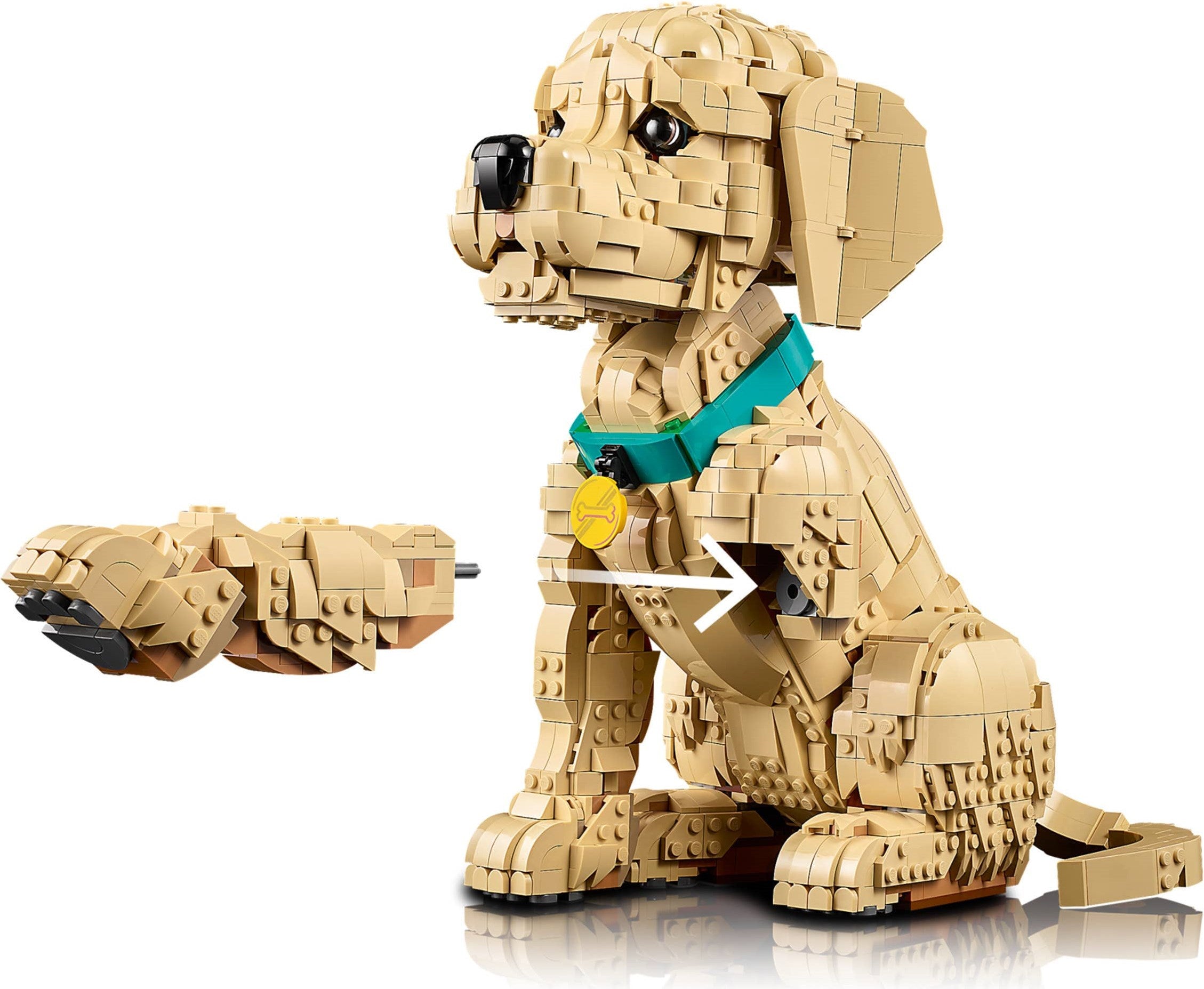 Golden Retriever Puppy 11384 | Icons | LEGO – image 17
