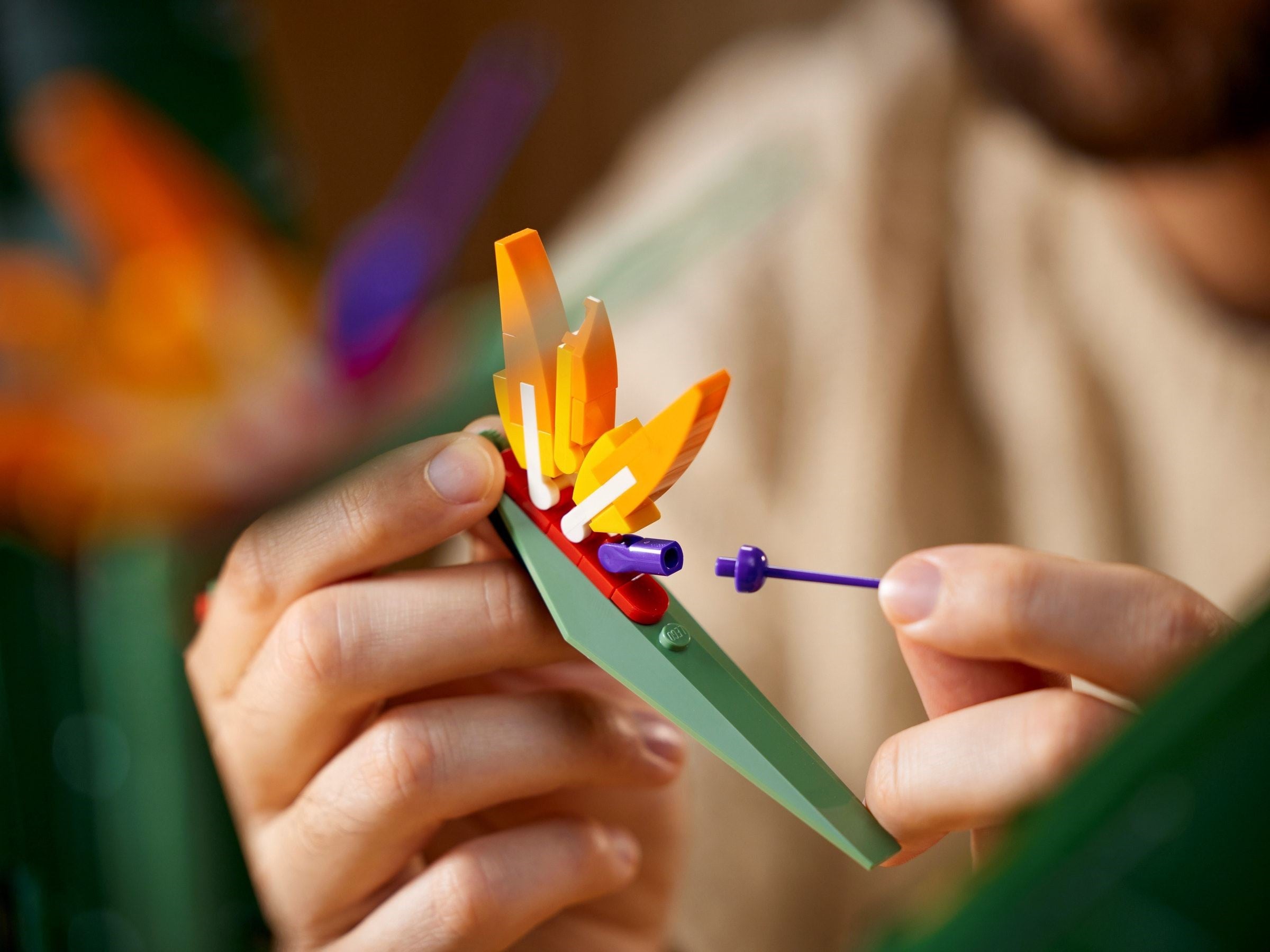 Bird of Paradise 10289 | Icons | LEGO – image 4