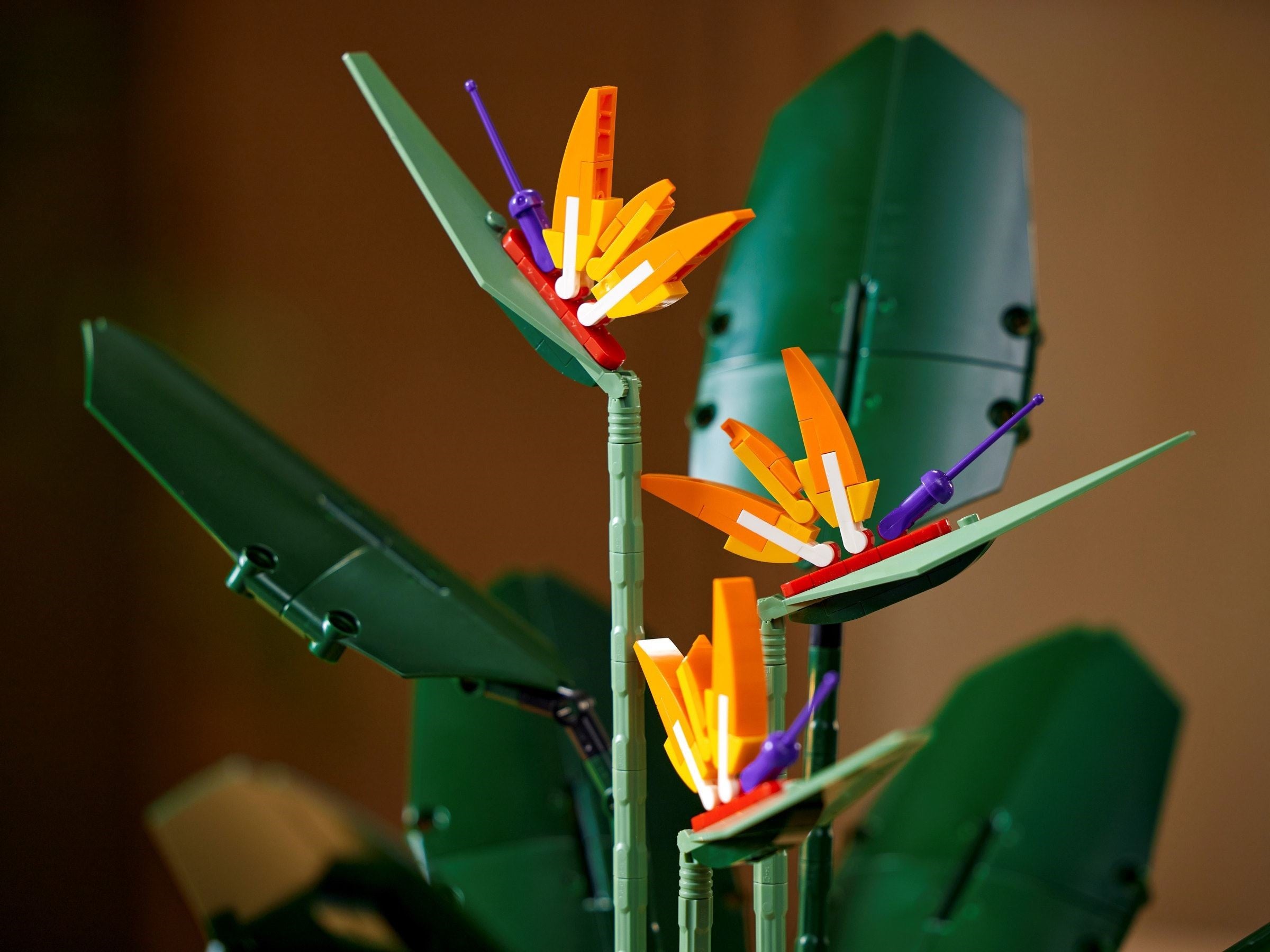 Bird of Paradise 10289 | Icons | LEGO – image 5