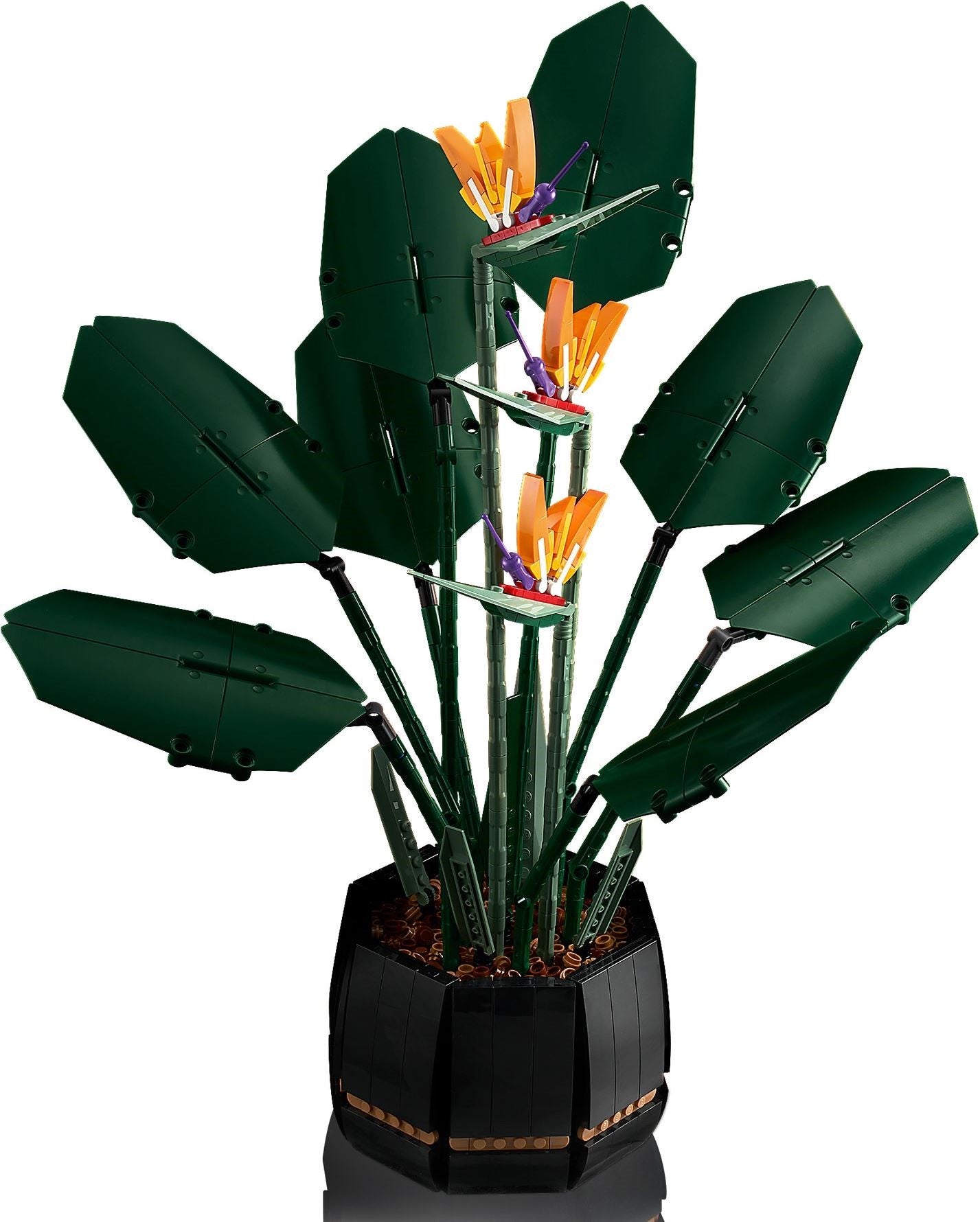 Bird of Paradise 10289 | Icons | LEGO – image 10