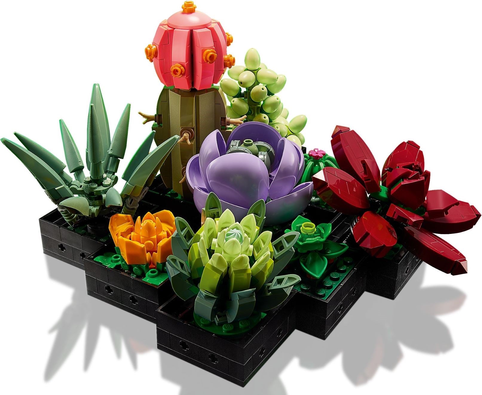 Succulents 10309 | Icons | LEGO – image 3