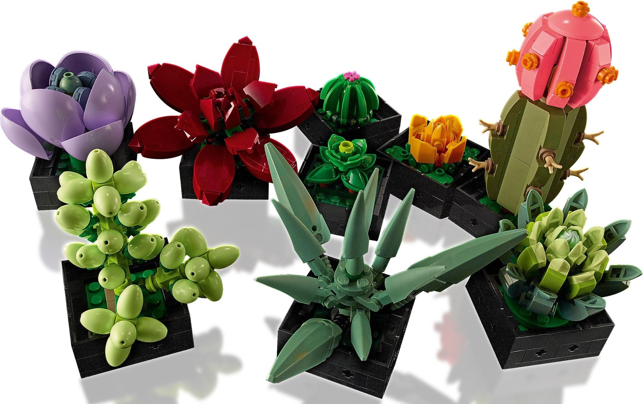 Succulents 10309 | Icons | LEGO – image 5