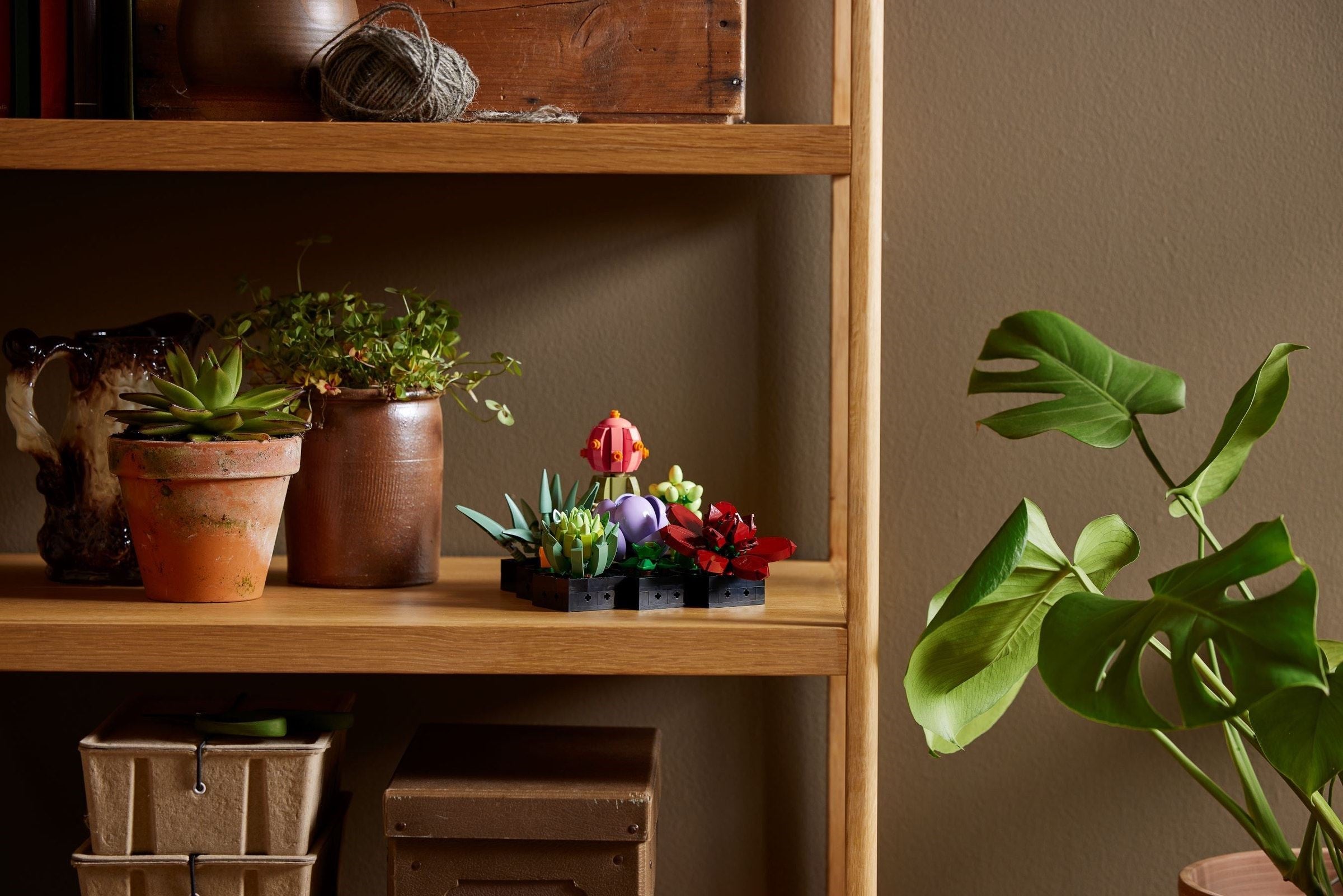 Succulents 10309 | Icons | LEGO – image 9