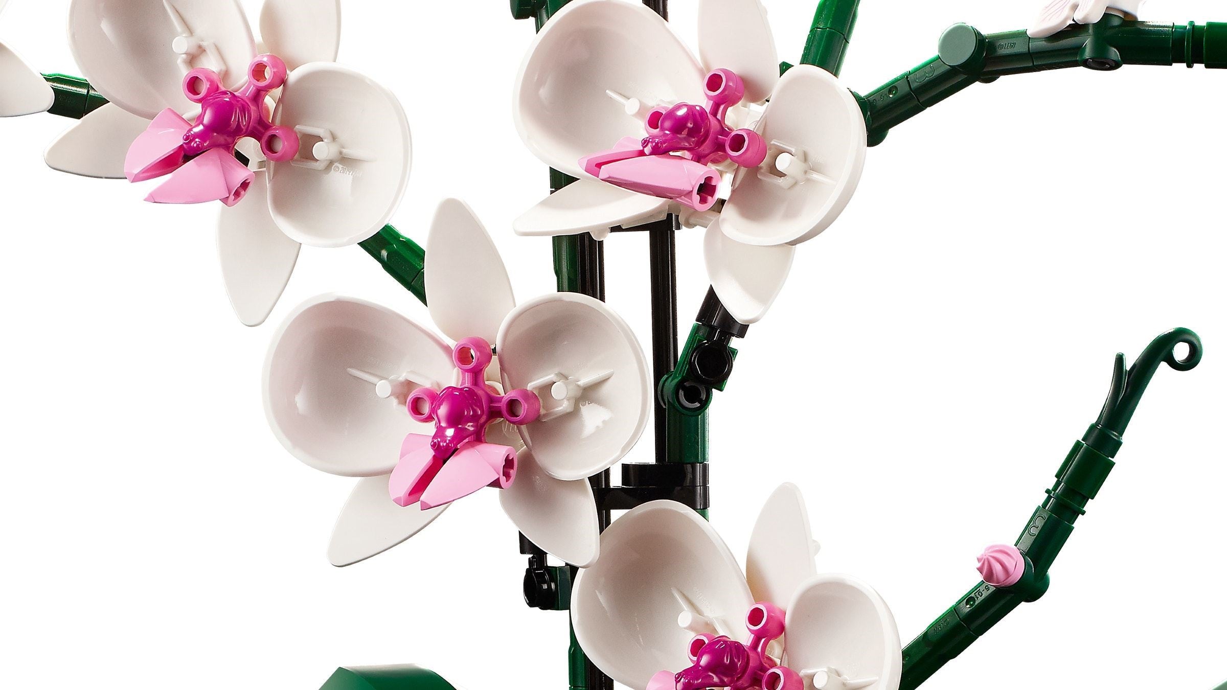 Orchid 10311 | Icons | LEGO – image 4
