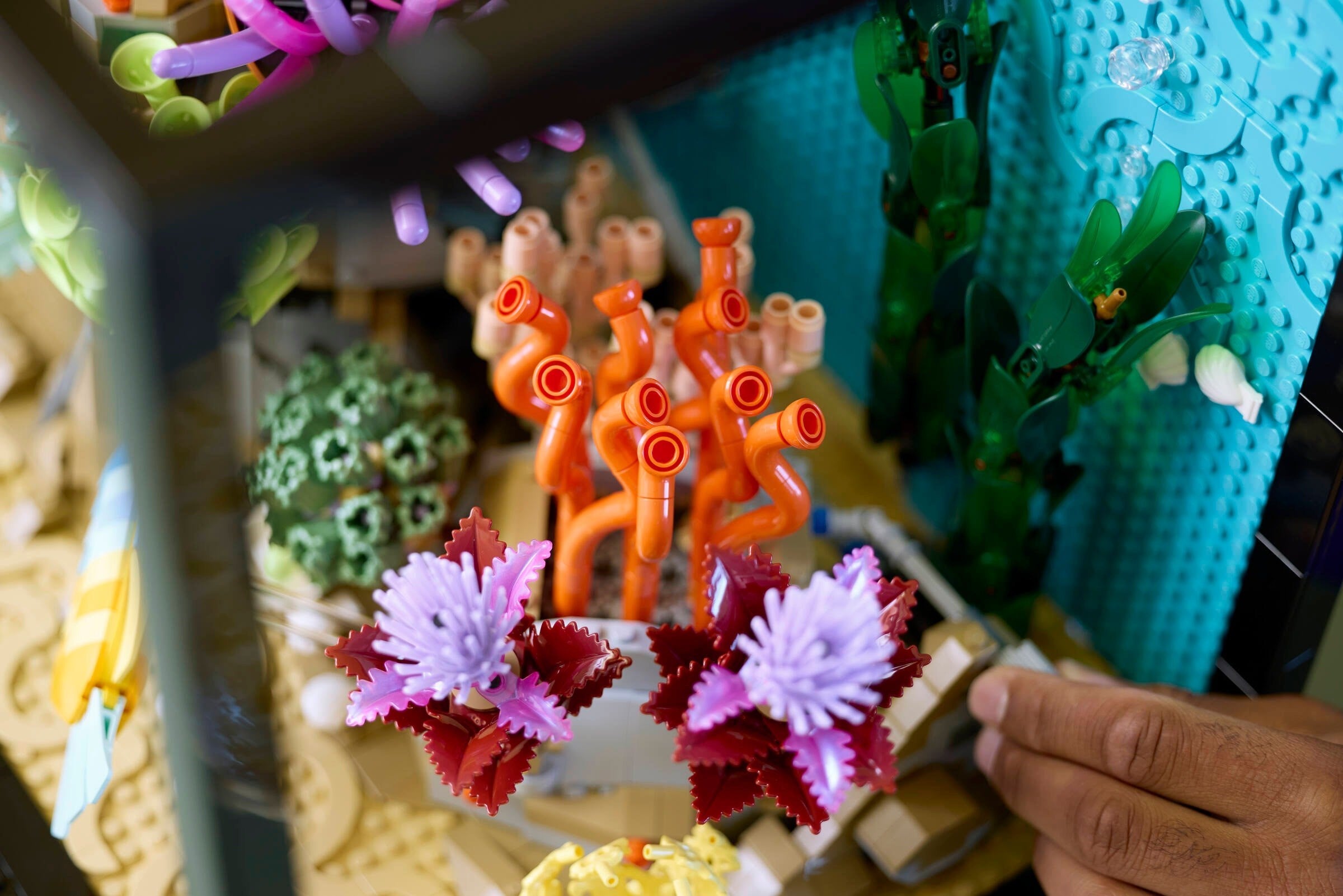 Tropical Aquarium 10366 | Icons | LEGO – image 6