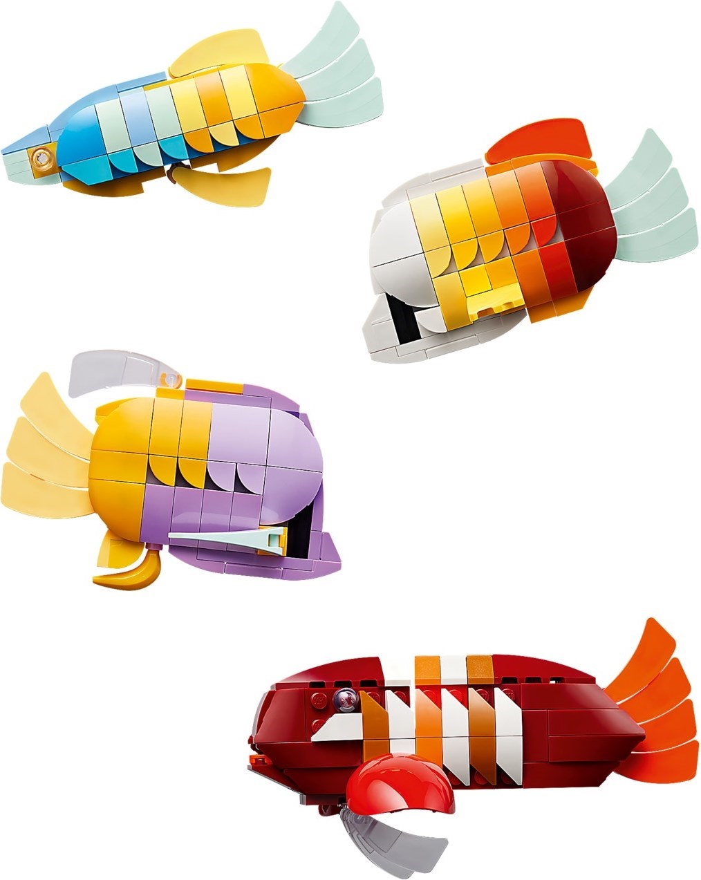 Tropical Aquarium 10366 | Icons | LEGO – image 13