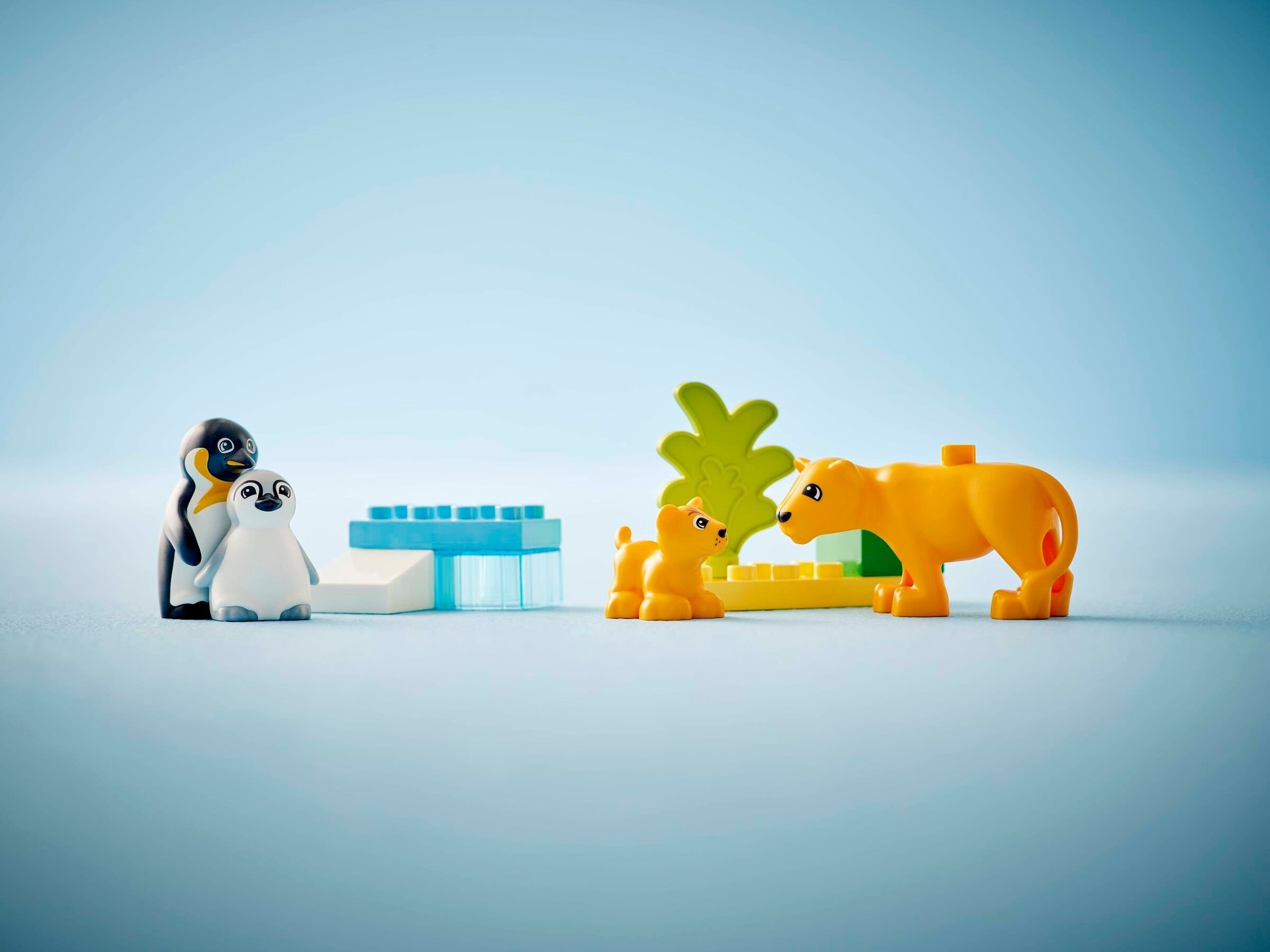 Wild Animal Families: Penguins & Lions 10442 | Duplo | LEGO – image 6
