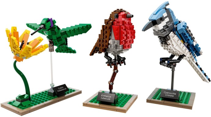 Birds 21301 | Ideas | LEGO