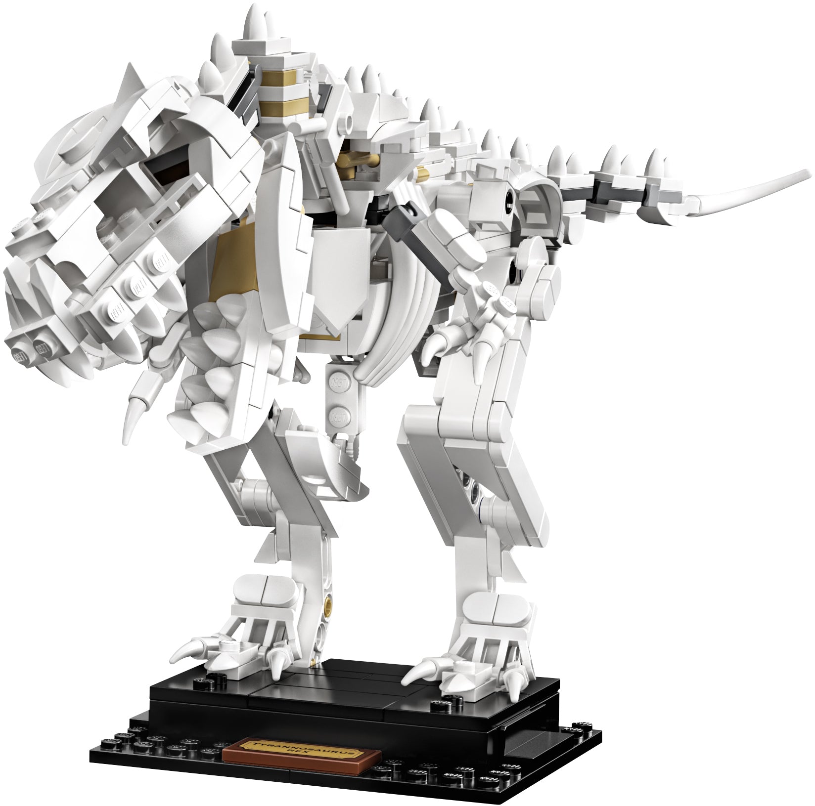 Dinosaur Fossils 21320 | Ideas | LEGO – image 4