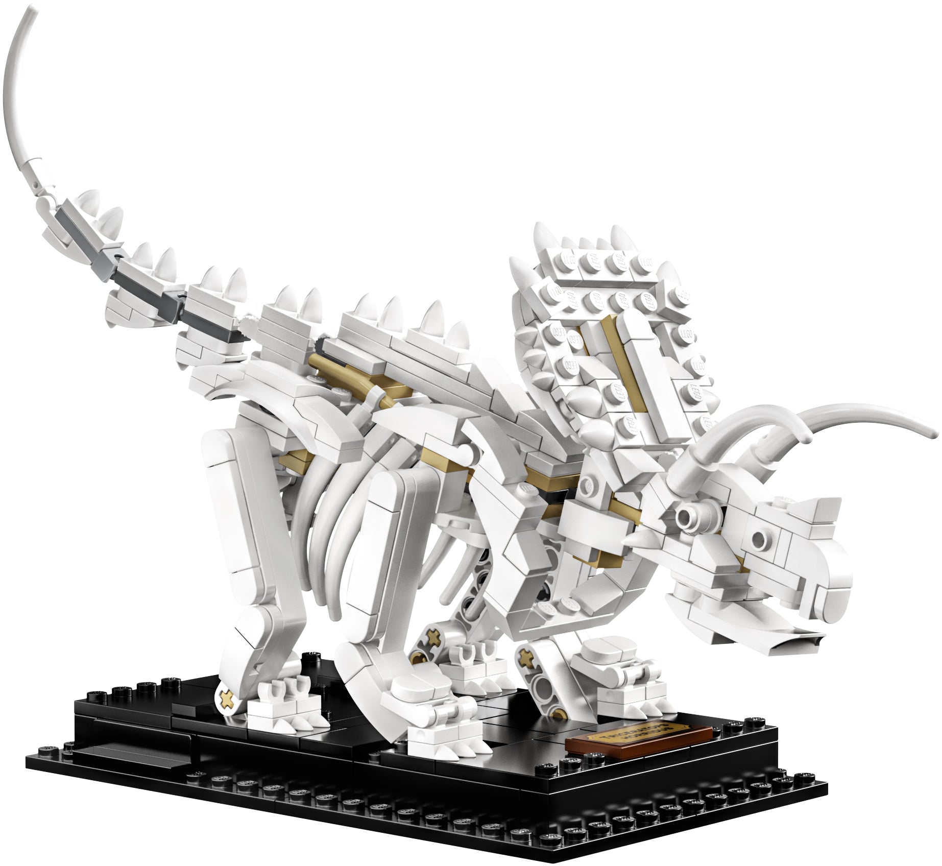 Dinosaur Fossils 21320 | Ideas | LEGO – image 5