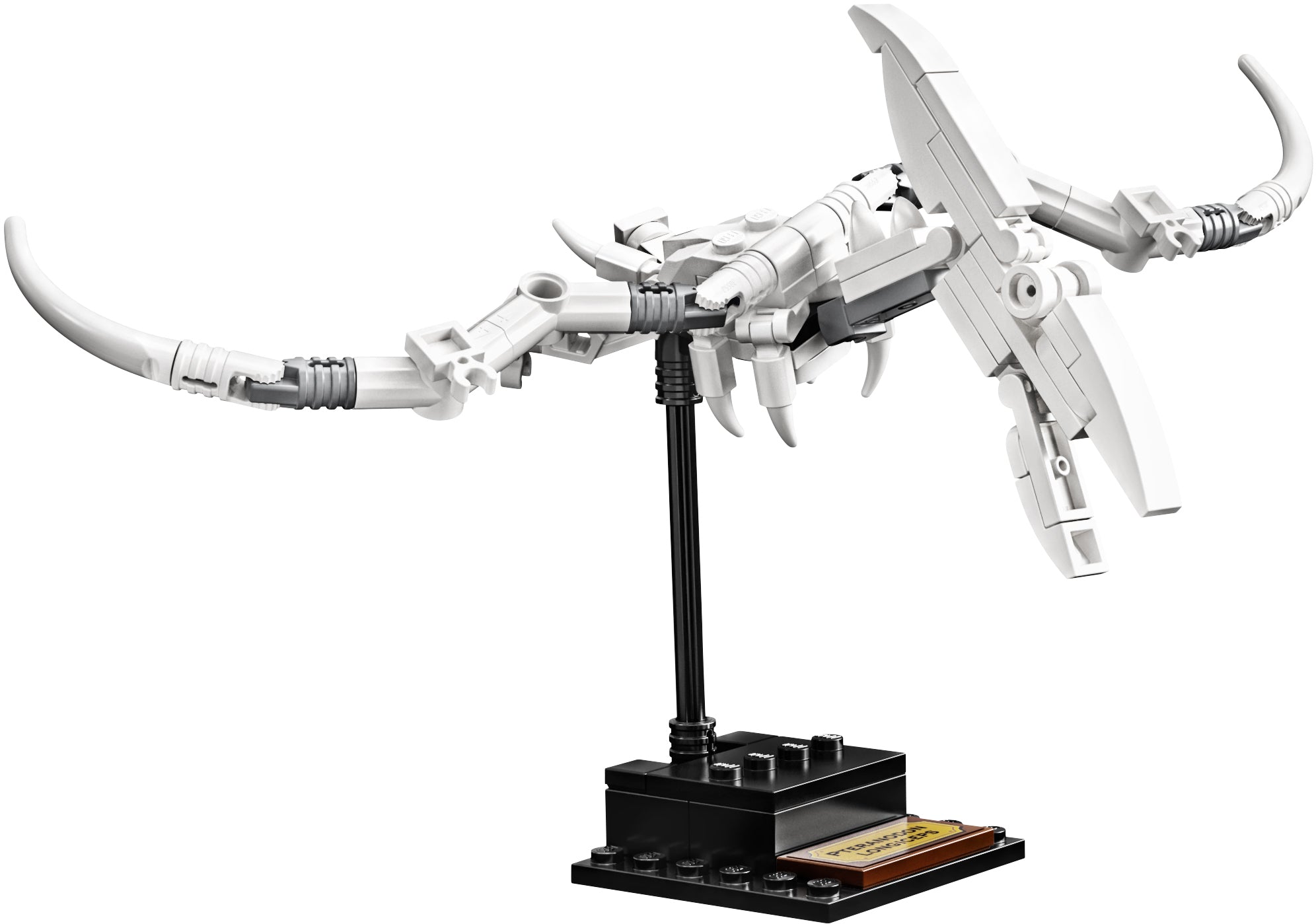 Dinosaur Fossils 21320 | Ideas | LEGO – image 6