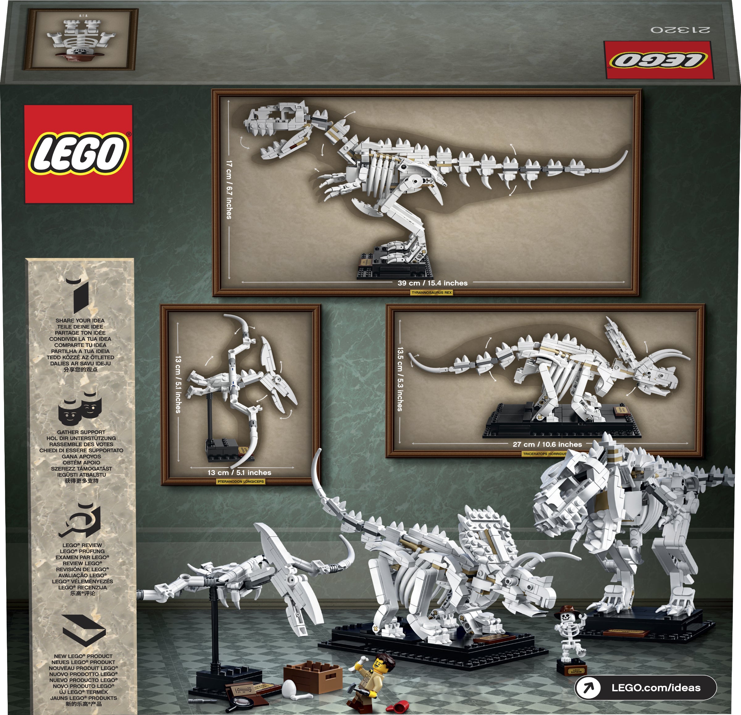 Dinosaur Fossils 21320 | Ideas | LEGO – image 13