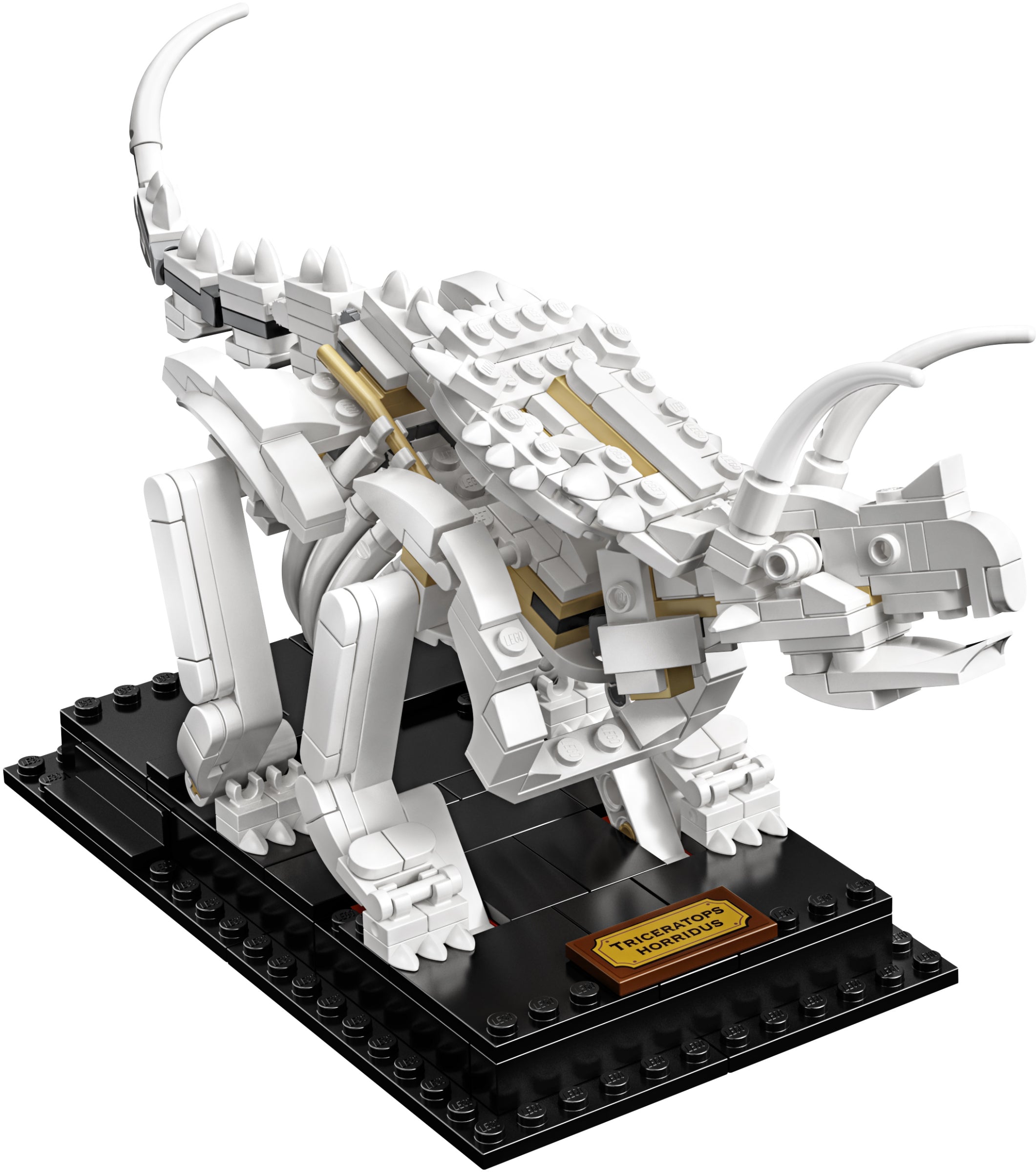 Dinosaur Fossils 21320 | Ideas | LEGO – image 14