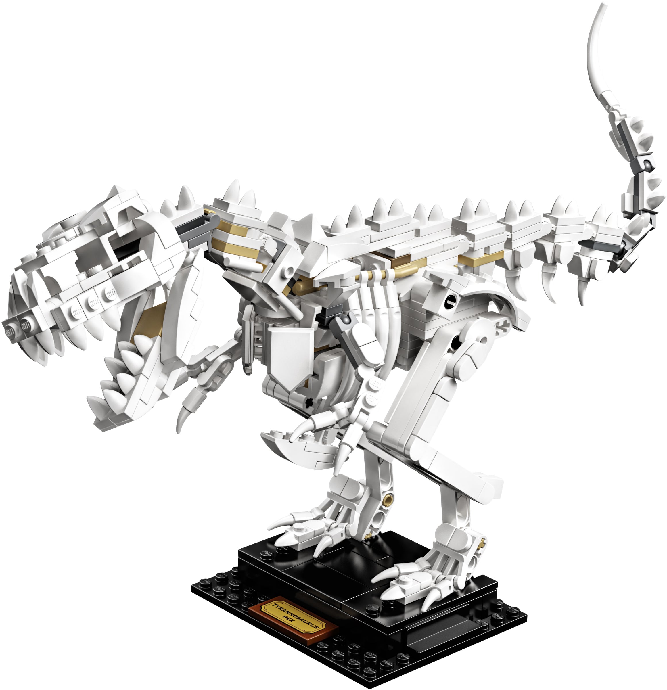 Dinosaur Fossils 21320 | Ideas | LEGO – image 15