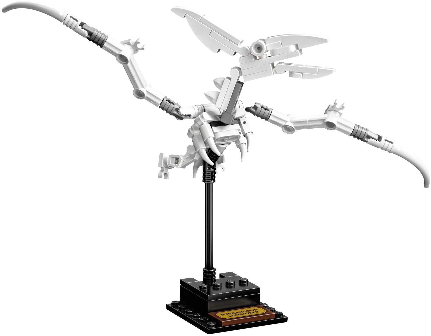 Dinosaur Fossils 21320 | Ideas | LEGO – image 16