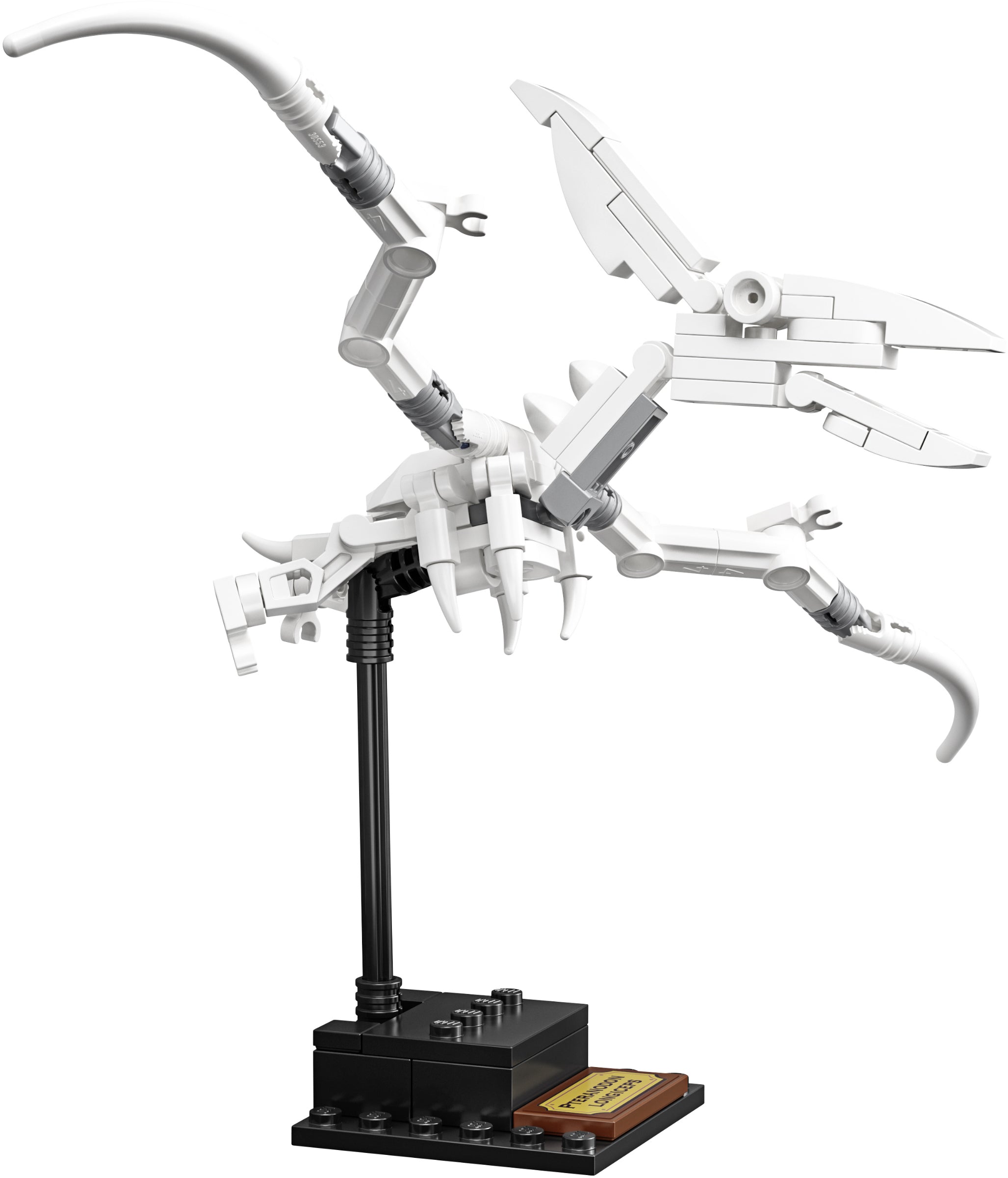 Dinosaur Fossils 21320 | Ideas | LEGO – image 19