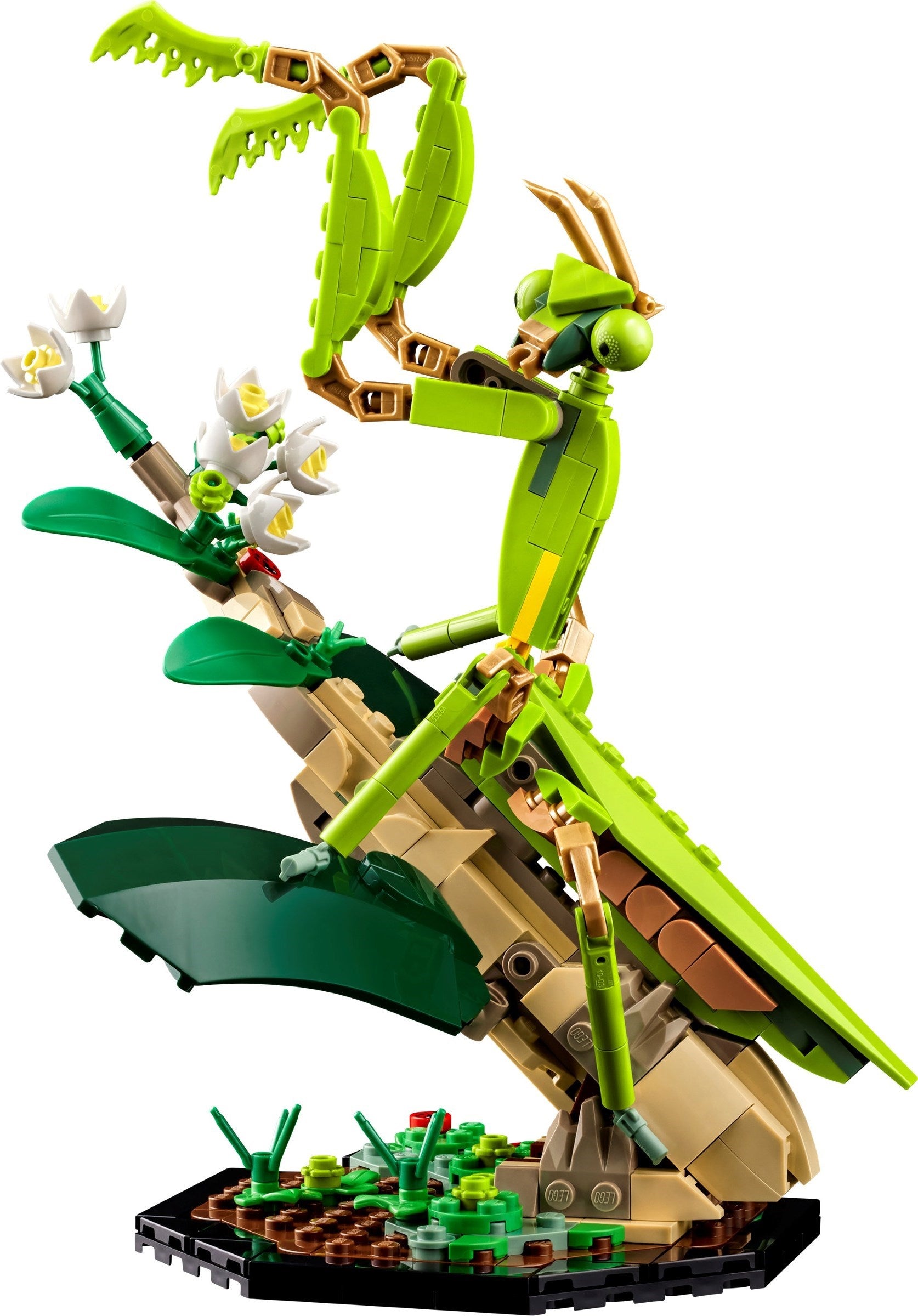 The Insect Collection 21342 | Ideas | LEGO – image 4