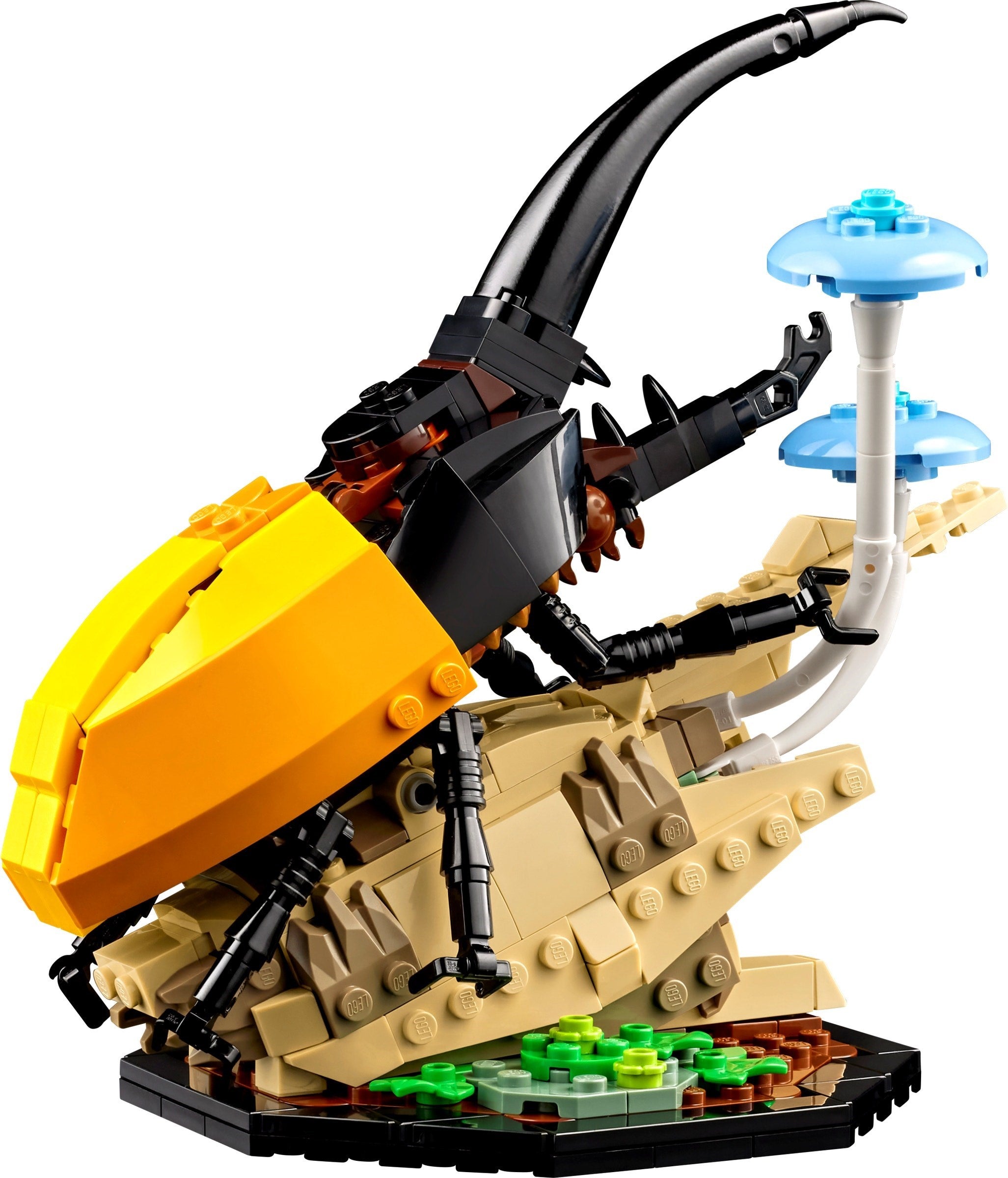 The Insect Collection 21342 | Ideas | LEGO – image 5