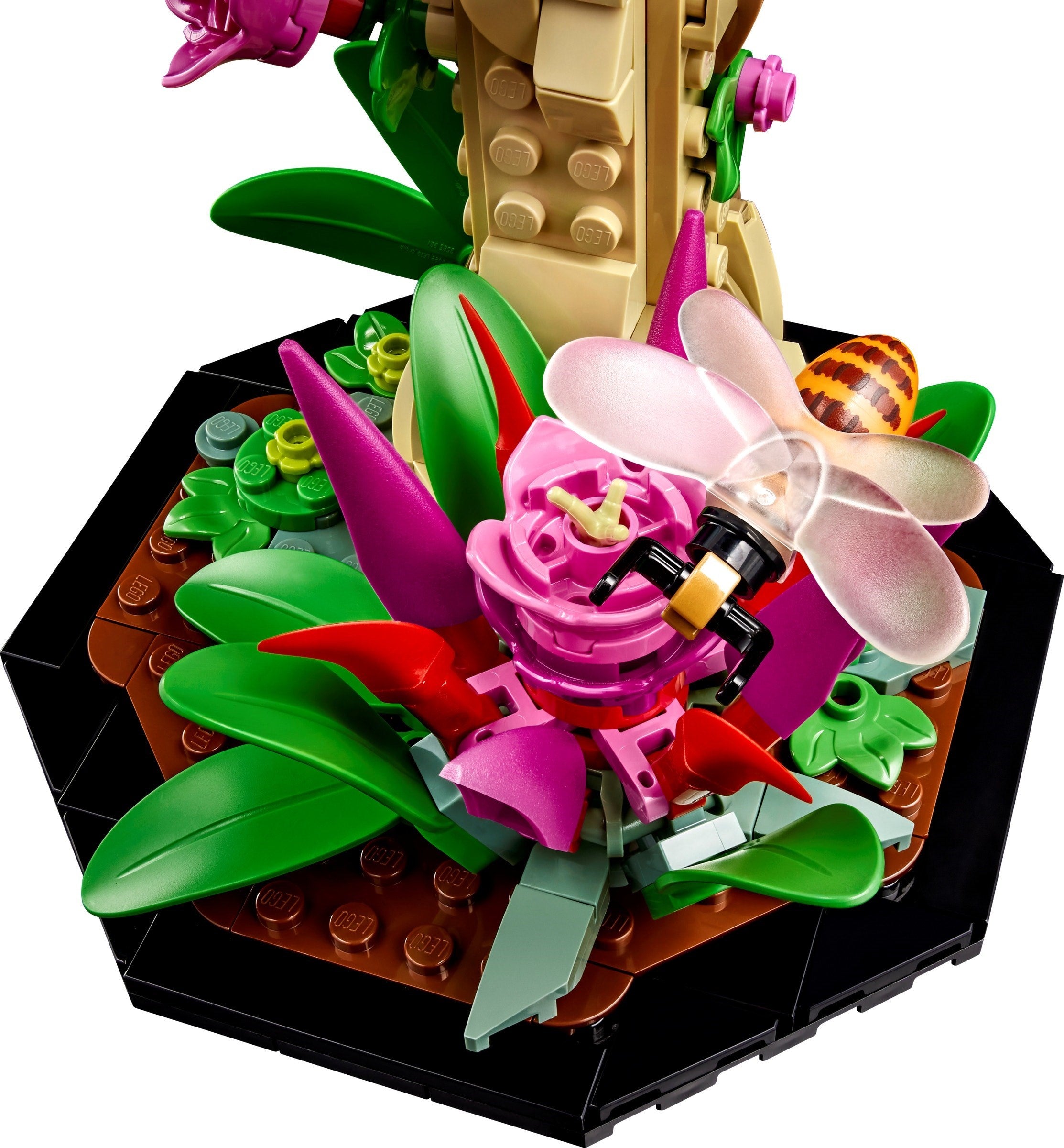 The Insect Collection 21342 | Ideas | LEGO – image 6