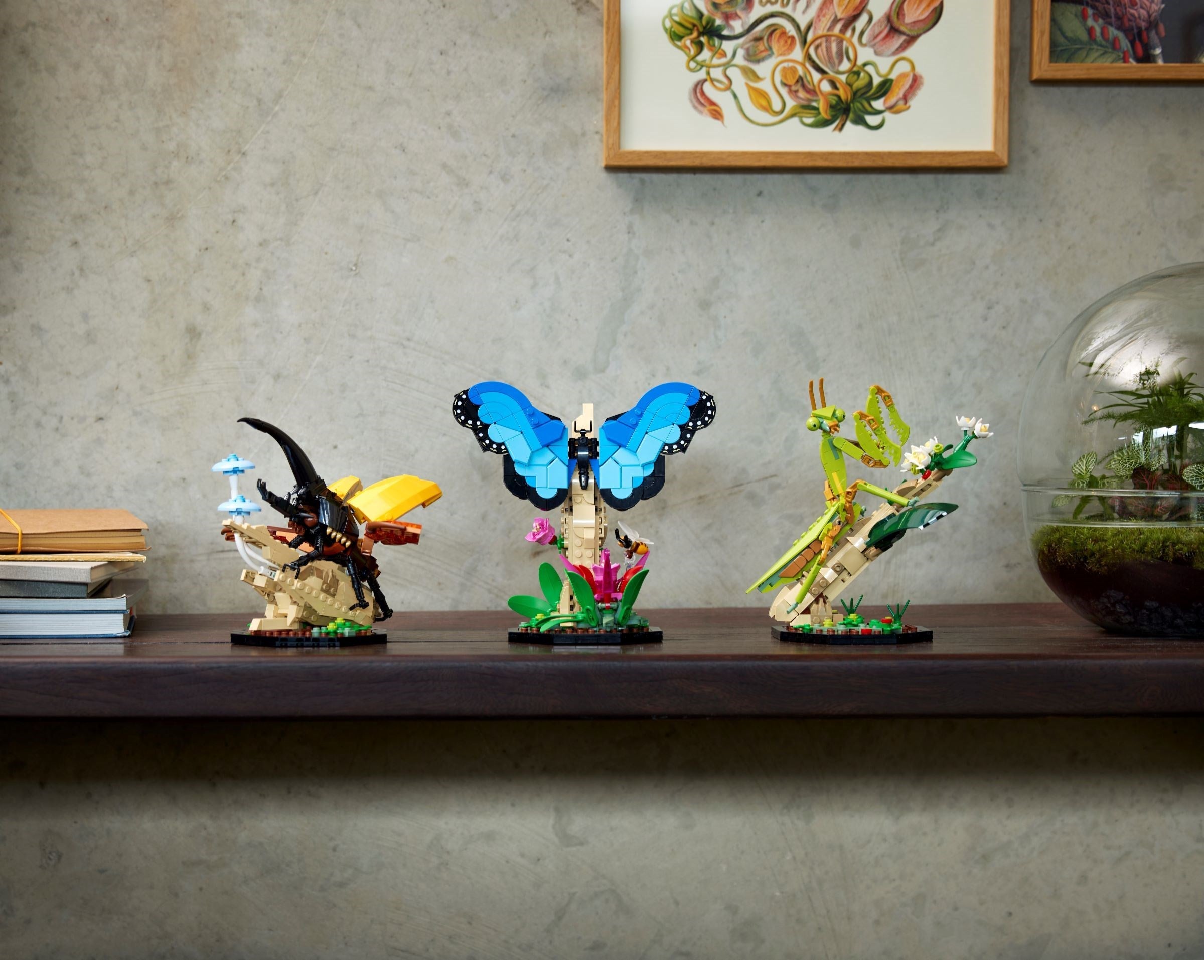 The Insect Collection 21342 | Ideas | LEGO – image 10
