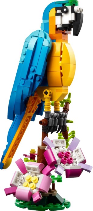 Exotic Parrot 31136 | Creator | LEGO