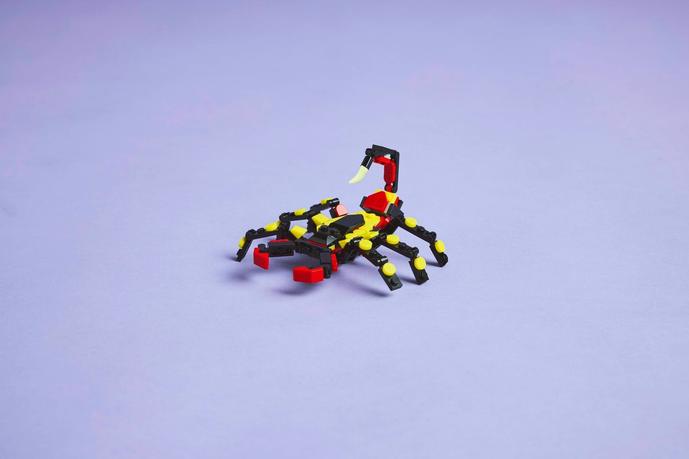 Surprising Spider 31159 | Creator | LEGO (image 6)