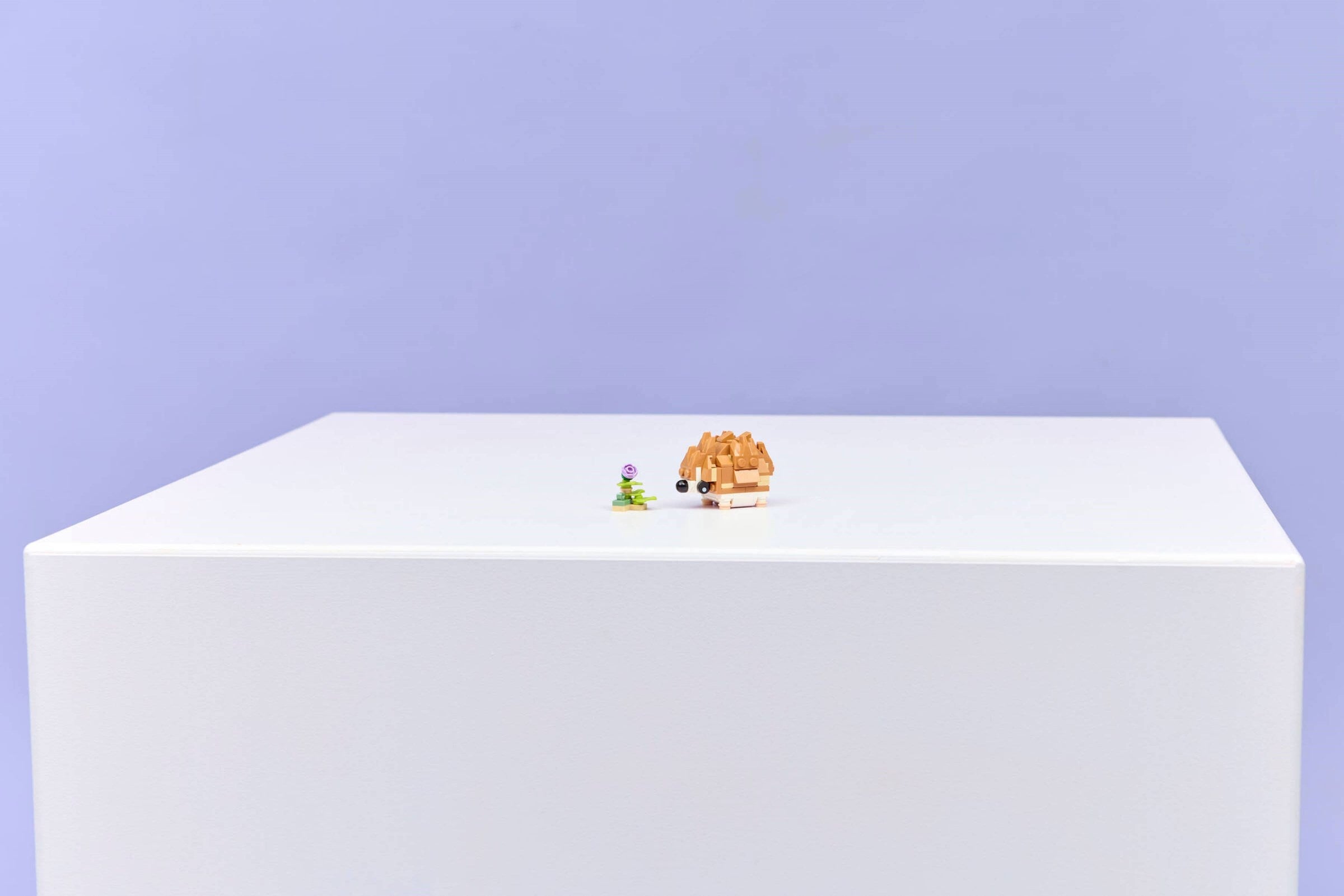 Cute Hamster with a Flower 31376 | Creator | LEGO – image 8