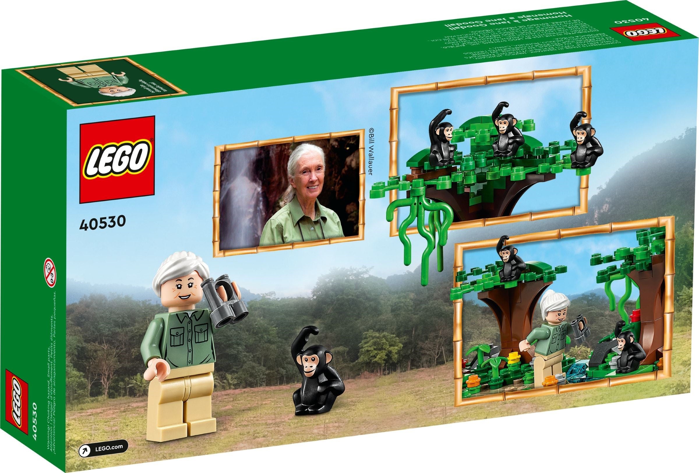 Jane Goodall Tribute 40530 | Promotional | LEGO – image 3