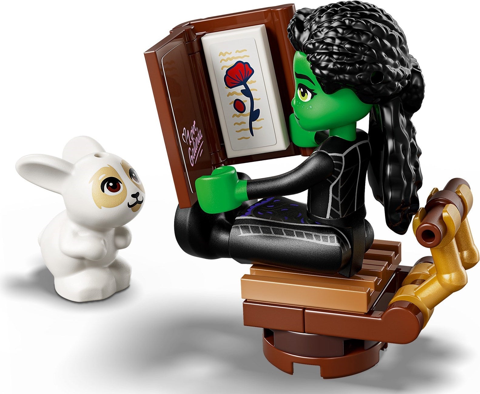Elphaba's Retreat 75687 | Wicked | LEGO – image 10