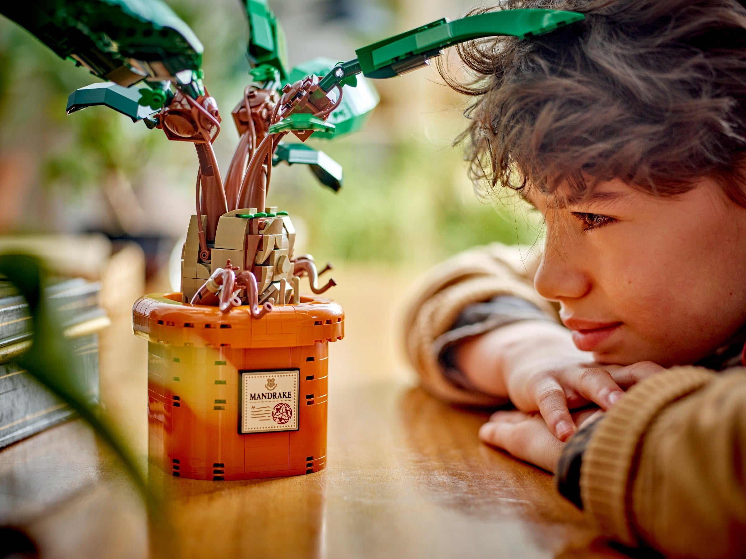 Mandrake  76433 | Harry Potter | LEGO – image 9
