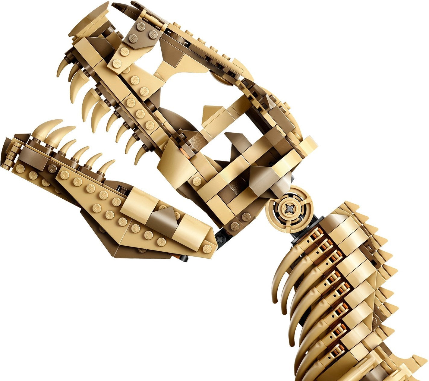 Dinosaur Fossils: Tyrannosaurus rex 76968 | Jurassic World | LEGO – image 12