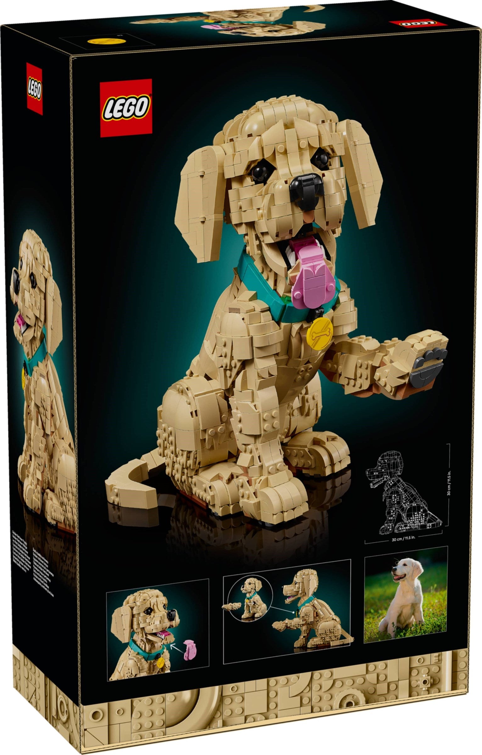 Golden Retriever Puppy 11384 | Icons | LEGO – image 3