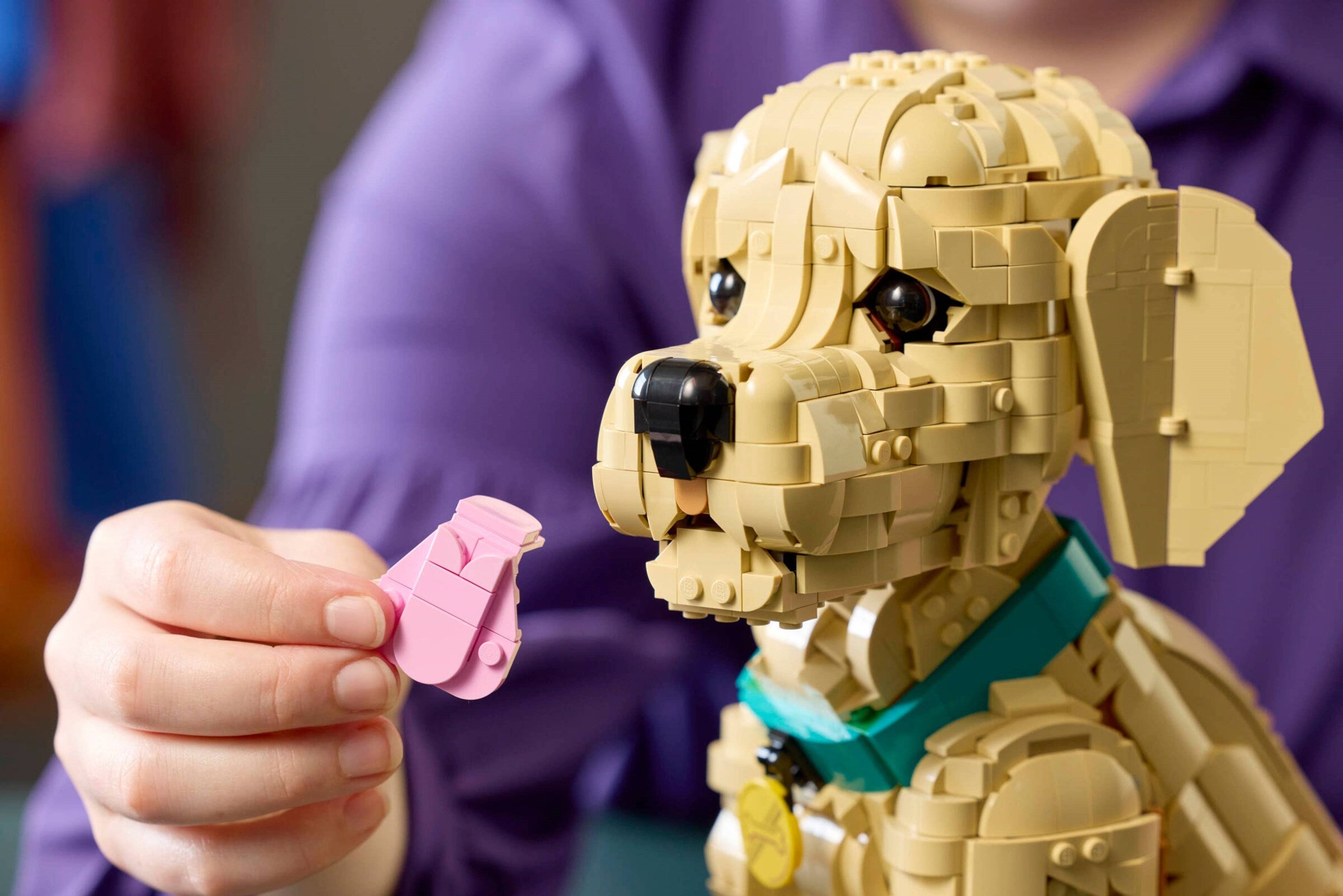 Golden Retriever Puppy 11384 | Icons | LEGO – image 6